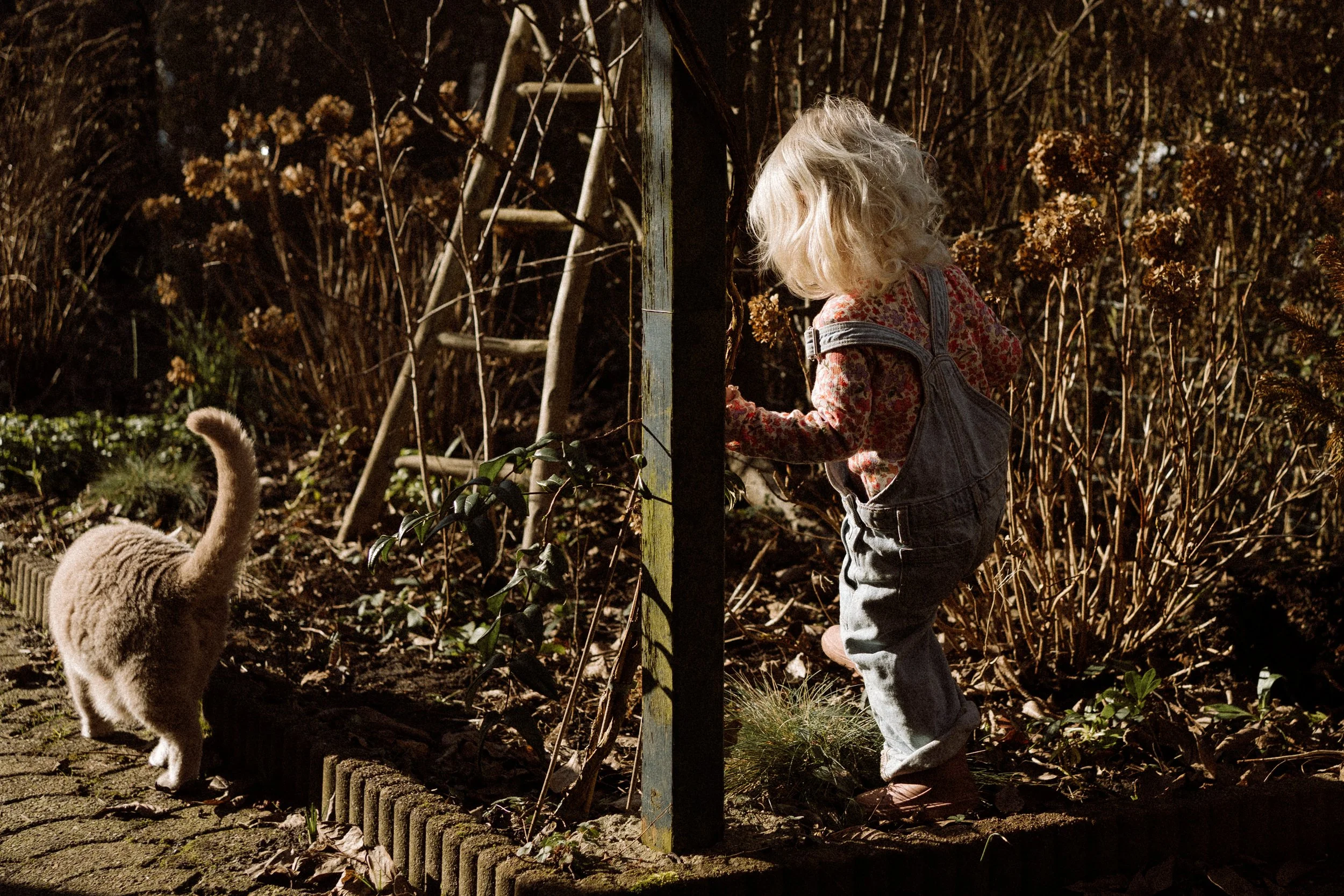 Wildflower week 7-00456.jpg