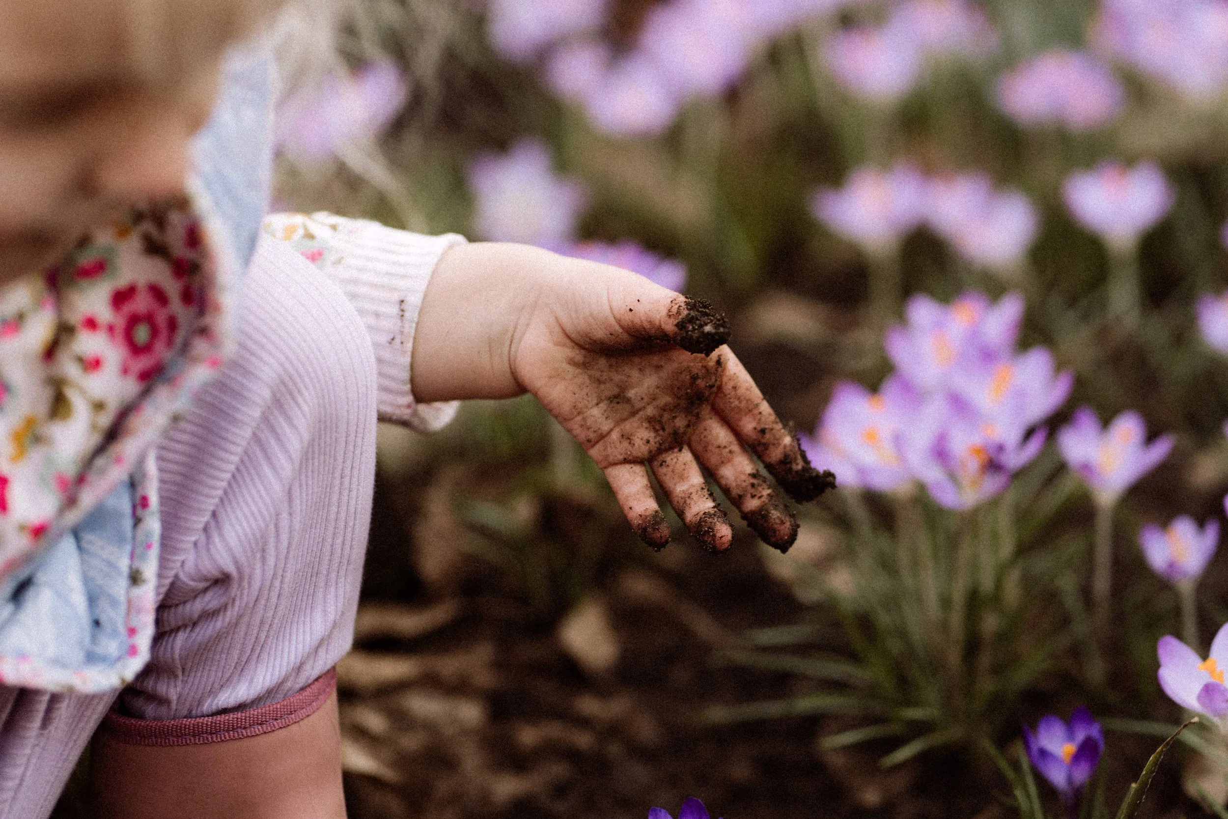 Stories by Chriske-05170.jpg