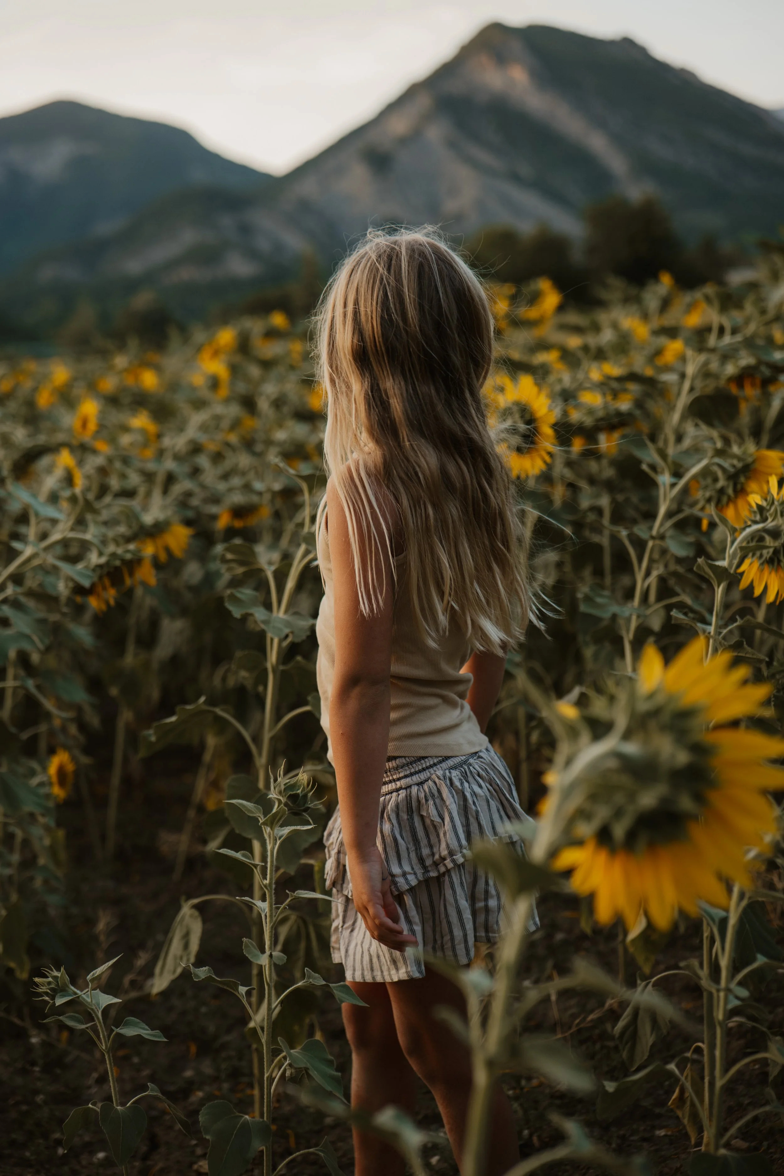 Wildflower-fotoserie-5a.jpg