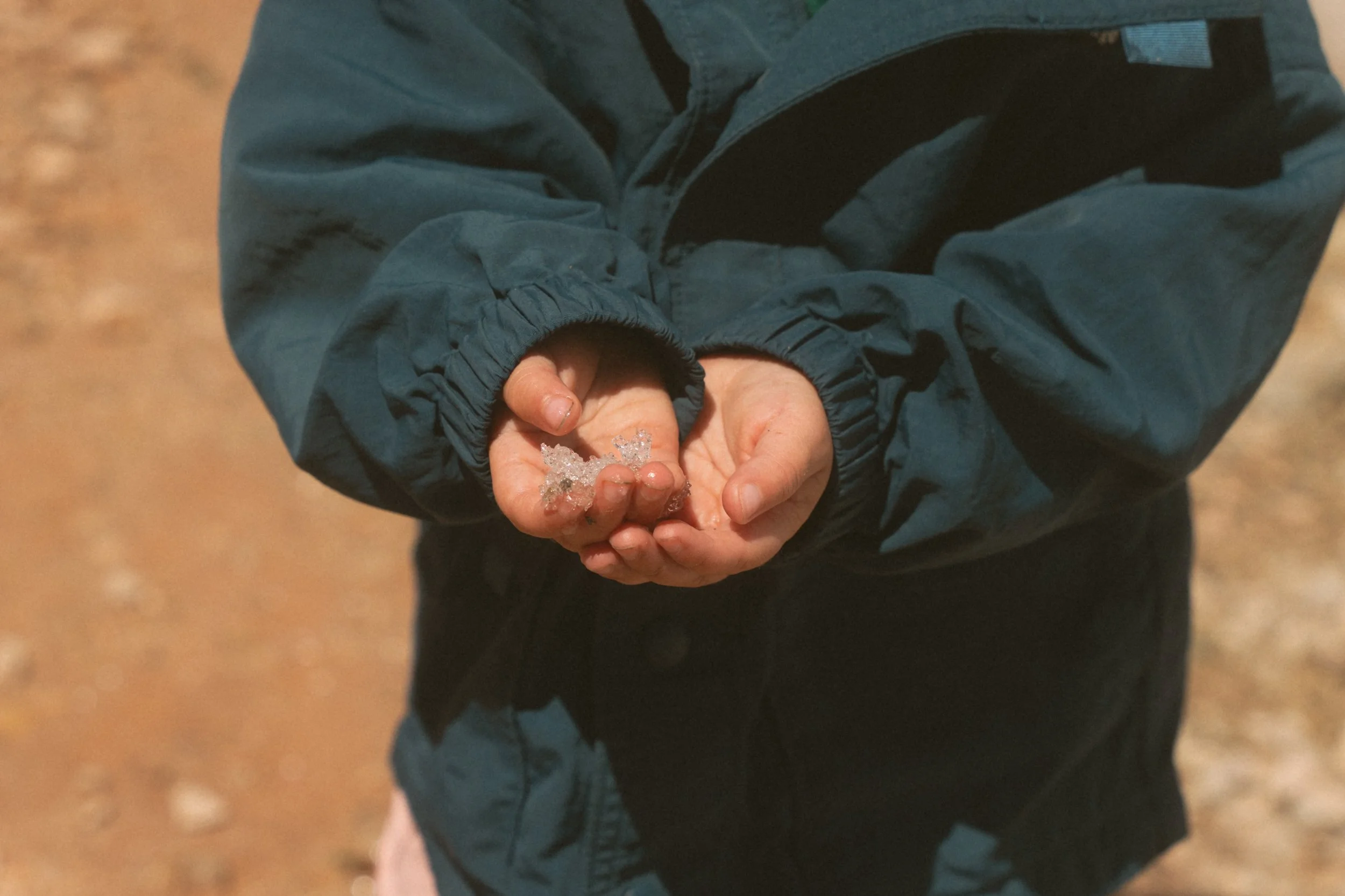 wild-08843.jpg