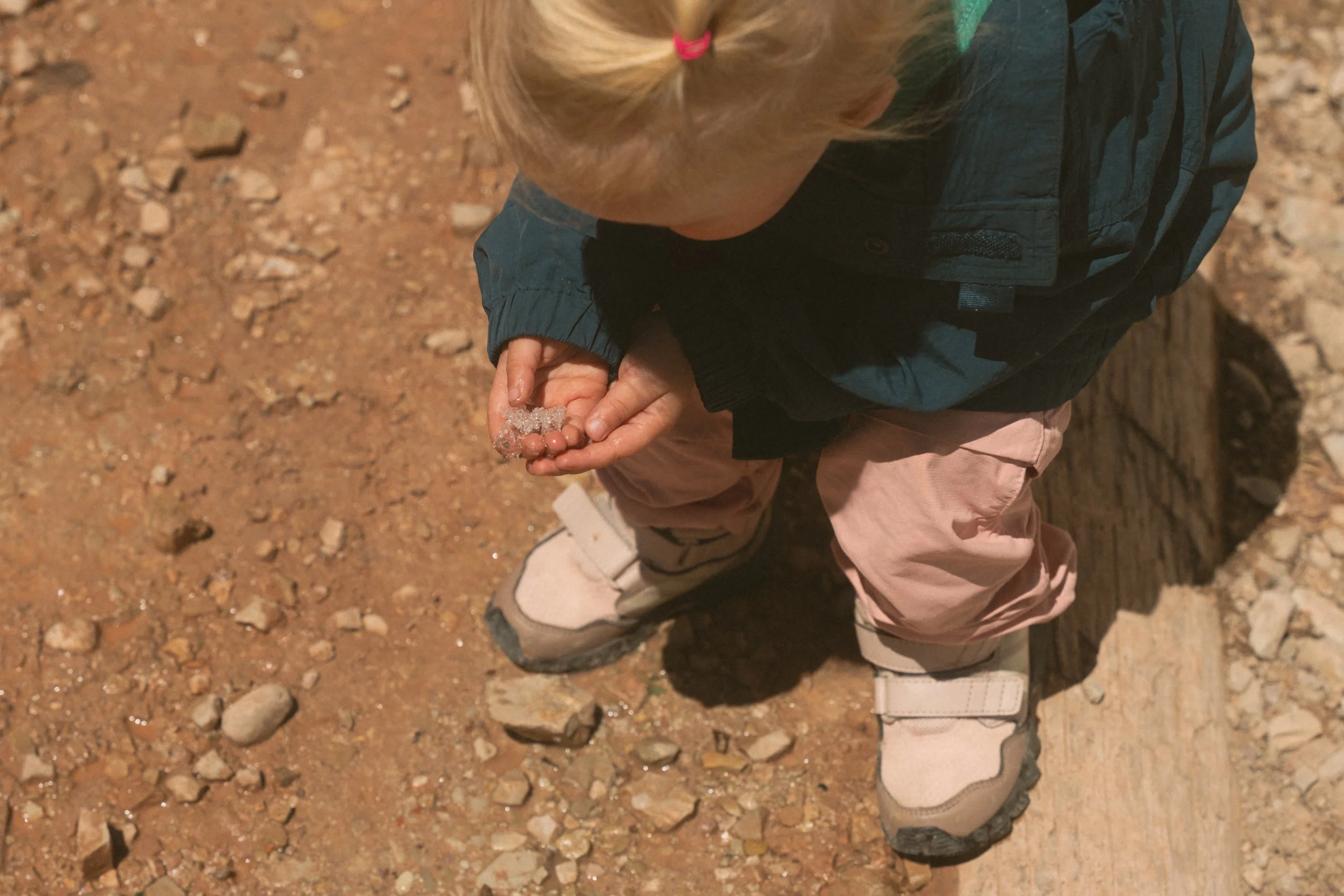 wild-08842.jpg