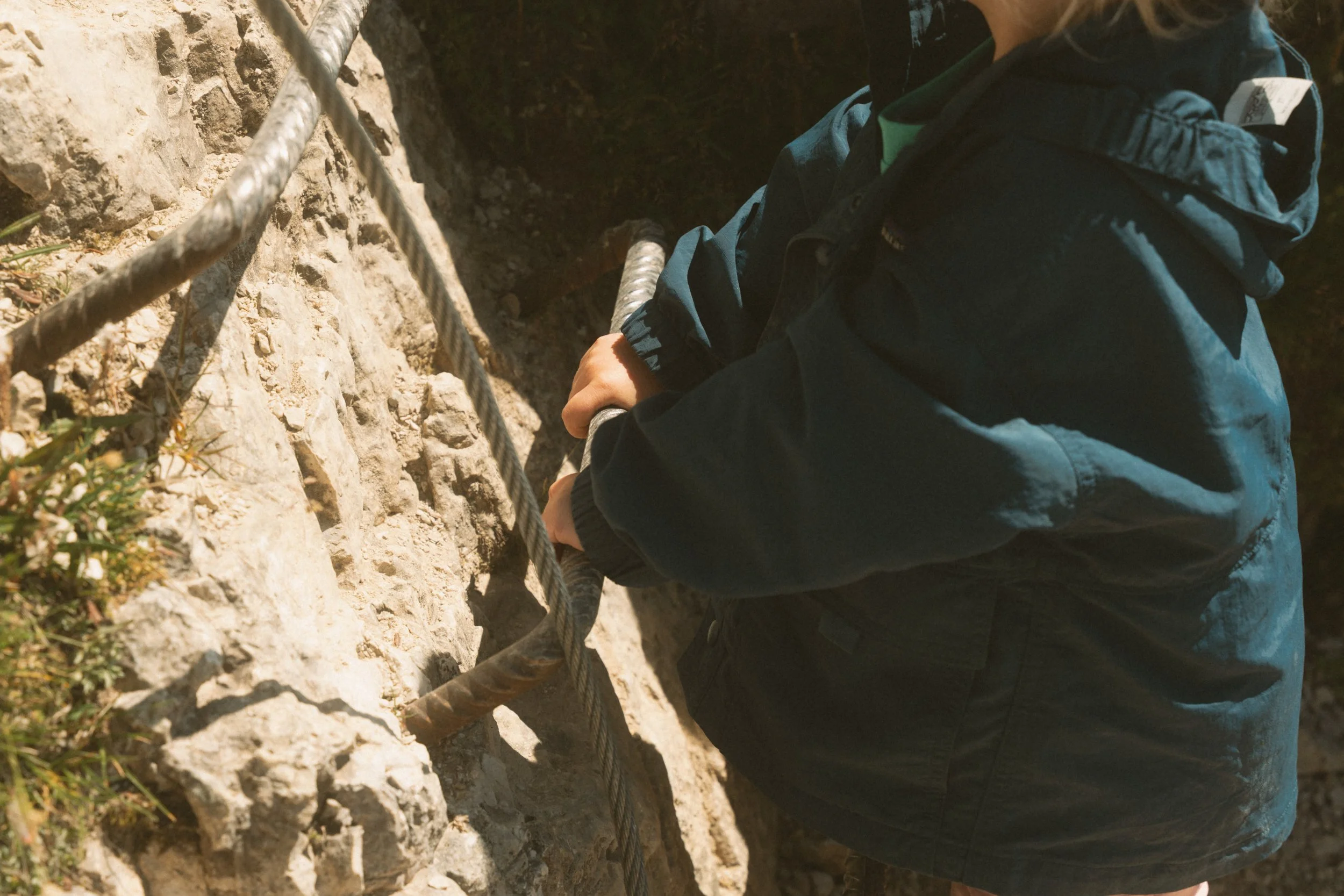 wild-08871.jpg