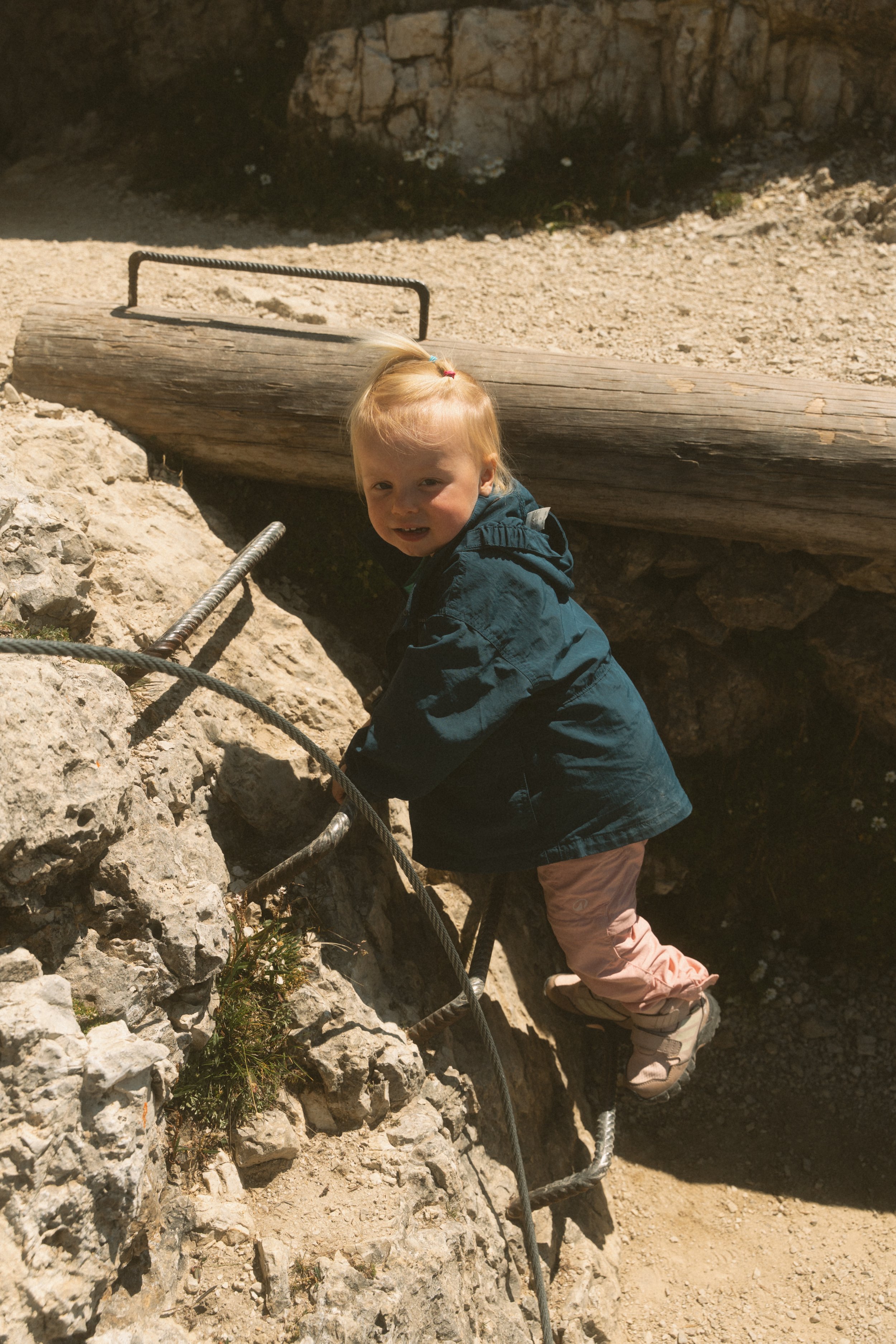 wild-08873.jpg
