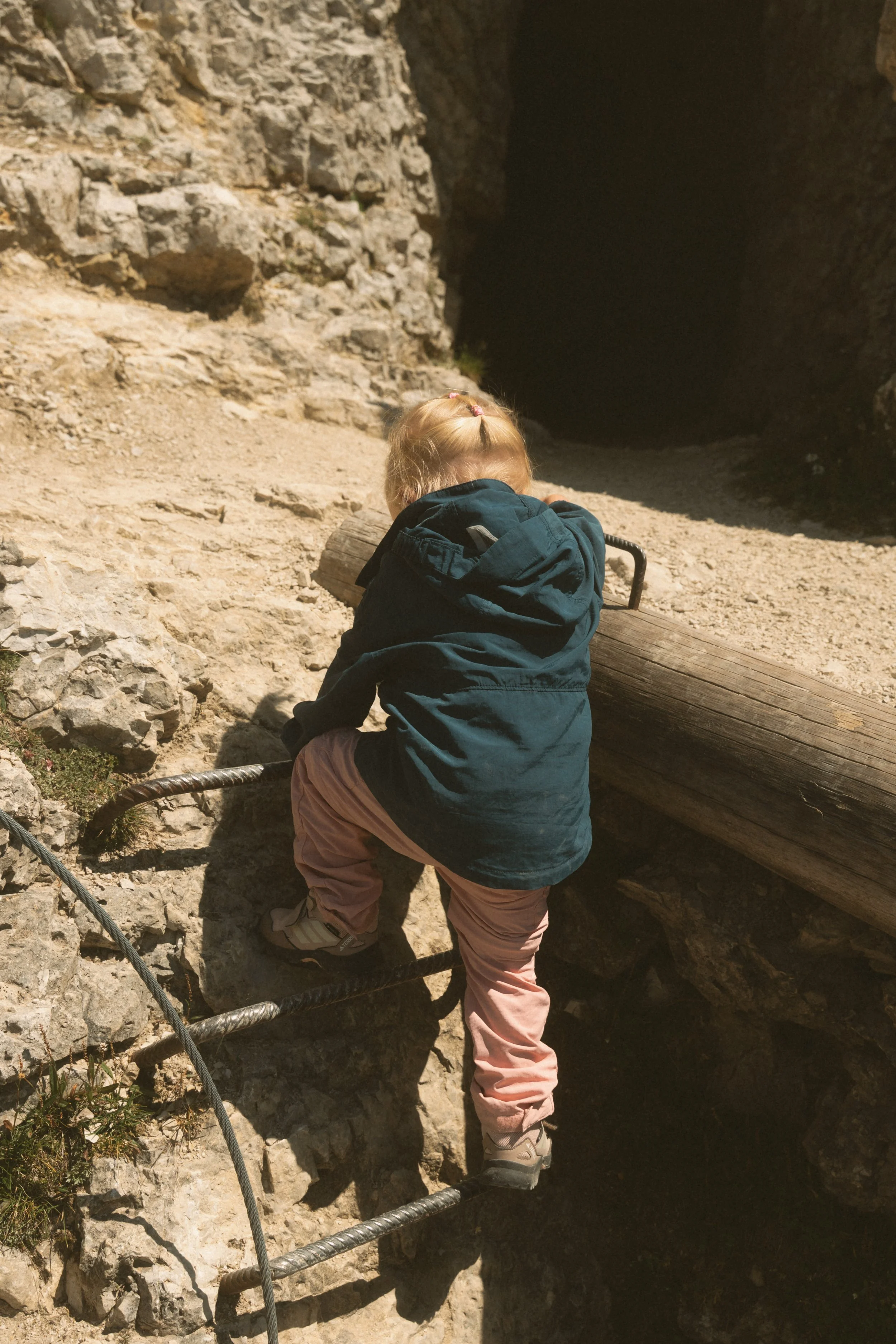 wild-08876.jpg