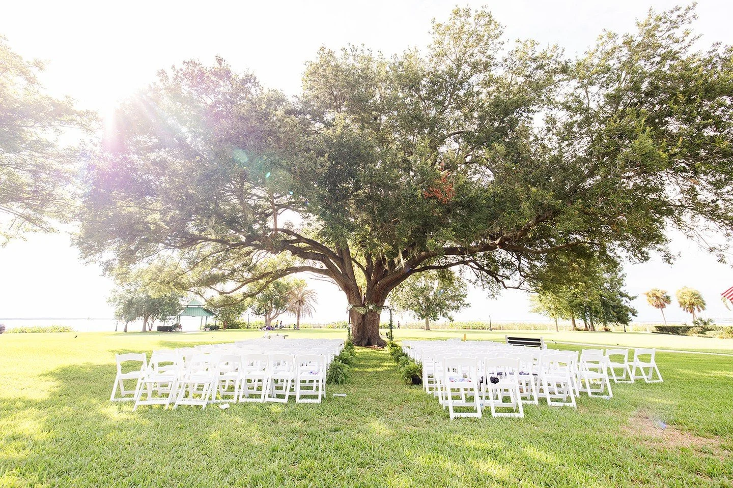 Wedding Paola + Albert 🥰⁠
⁠
LUXURY WEDDING EVENT PLANNER &amp; DESIGN💮⁠ ⁠ ⁠
⁠
Tu Boda o Evento Tal Como la So&ntilde;aste con @asdetalles, HAZ TU CITA VIRTUAL WhatsApp 1.407.535.3405, 1.829.591.3405 asdetalles@hotmail.com, www.asdetalles.com ⁠ ⁠ ⁠ 