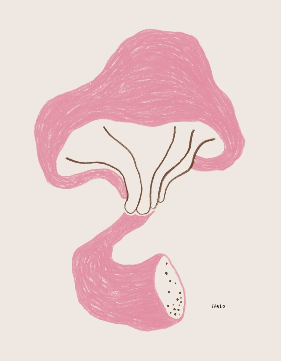 The Pink Mushroom for Wall of Art