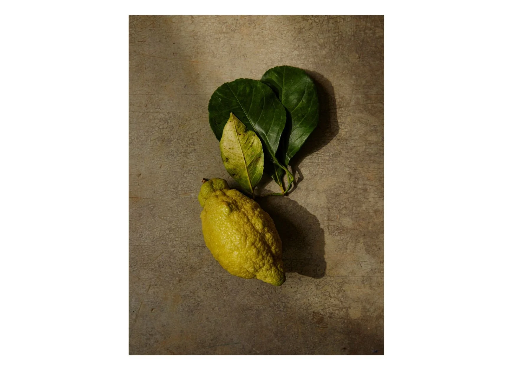 Untitled design-18.jpg