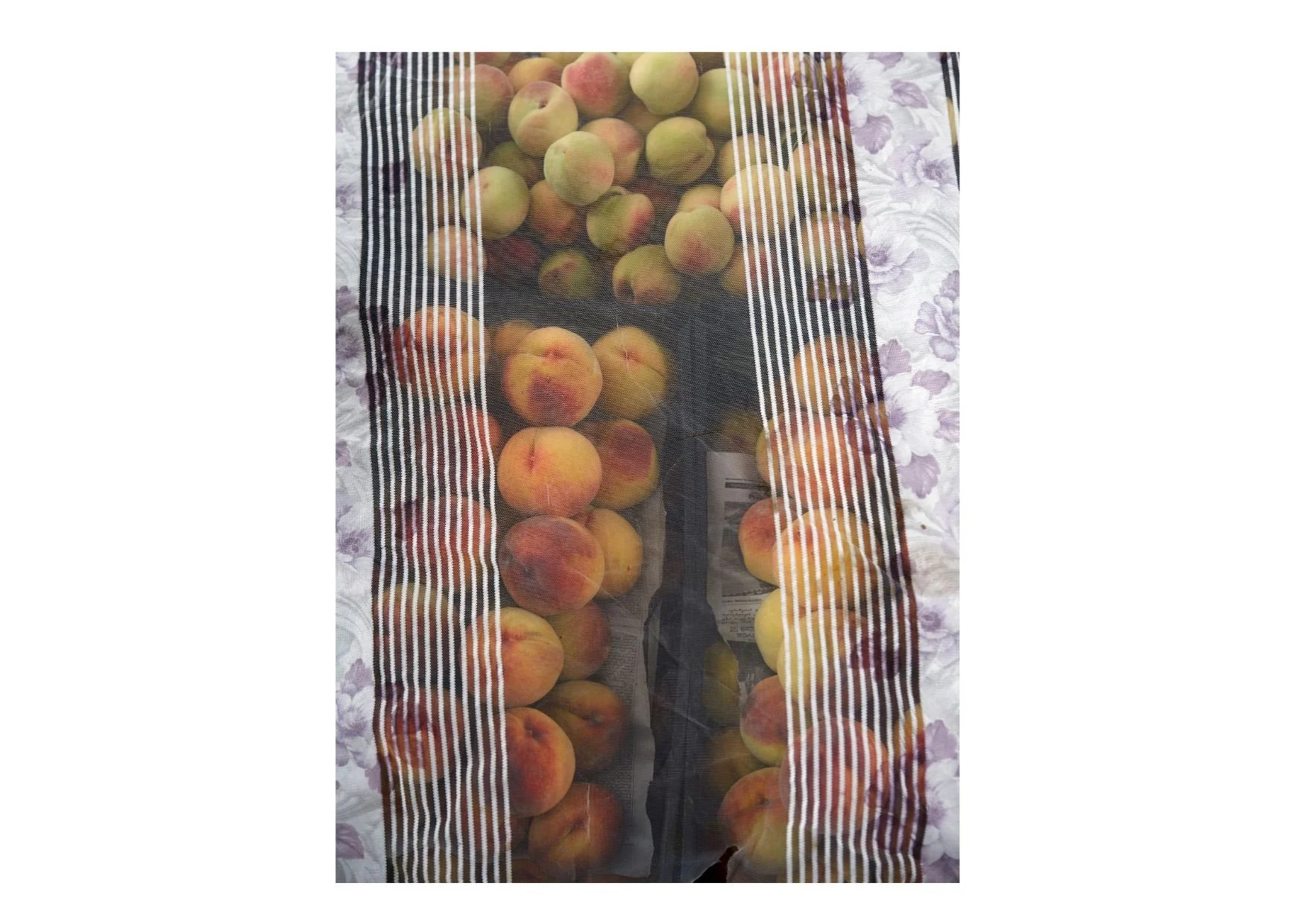 Untitled design-15.jpg