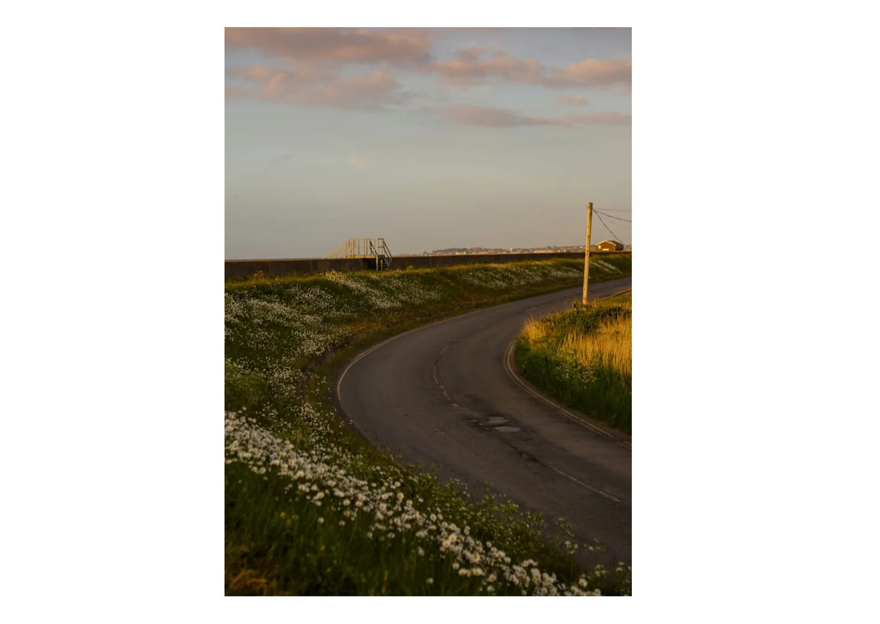 Untitled design-5.jpg