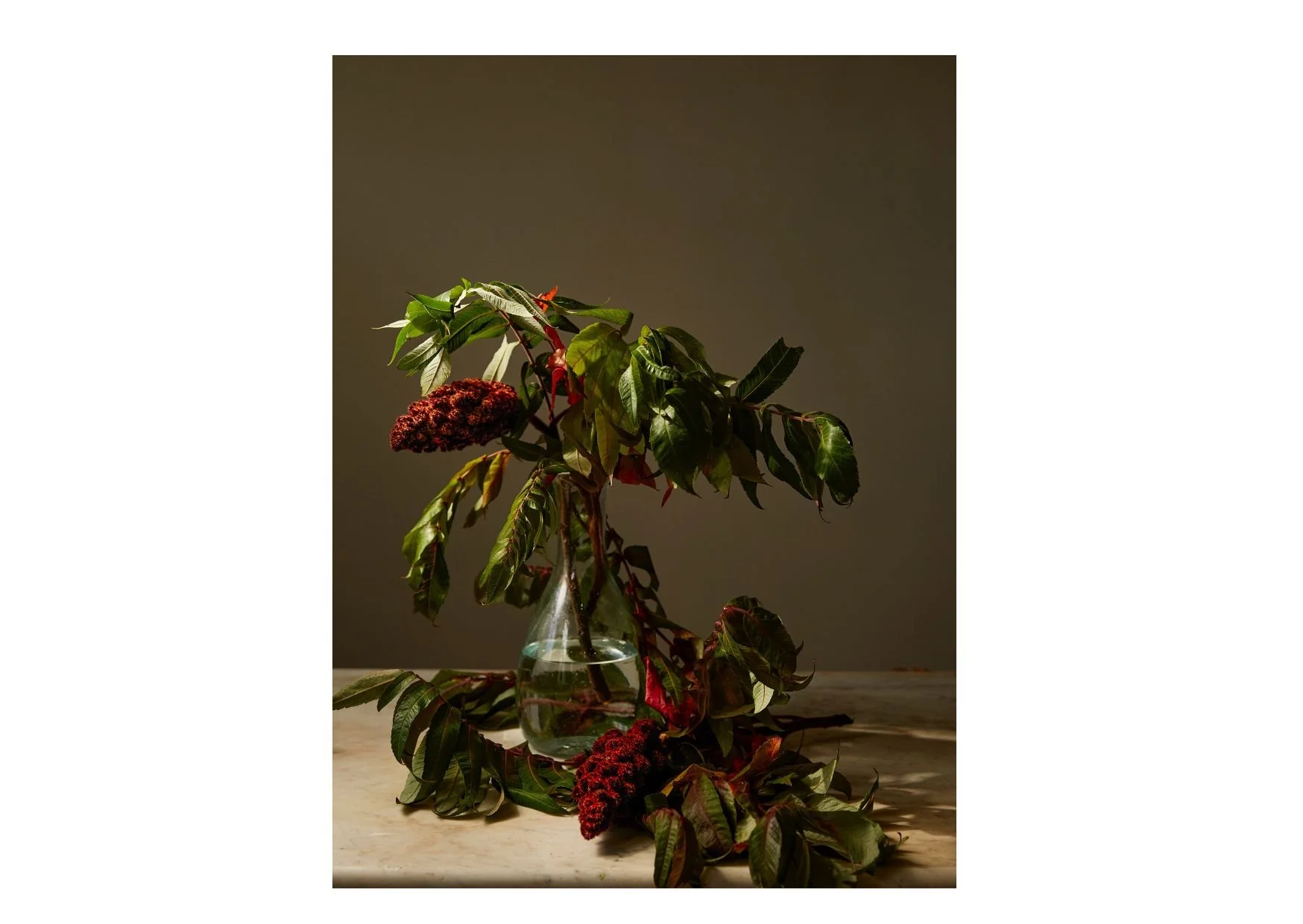 Untitled design-14.jpg