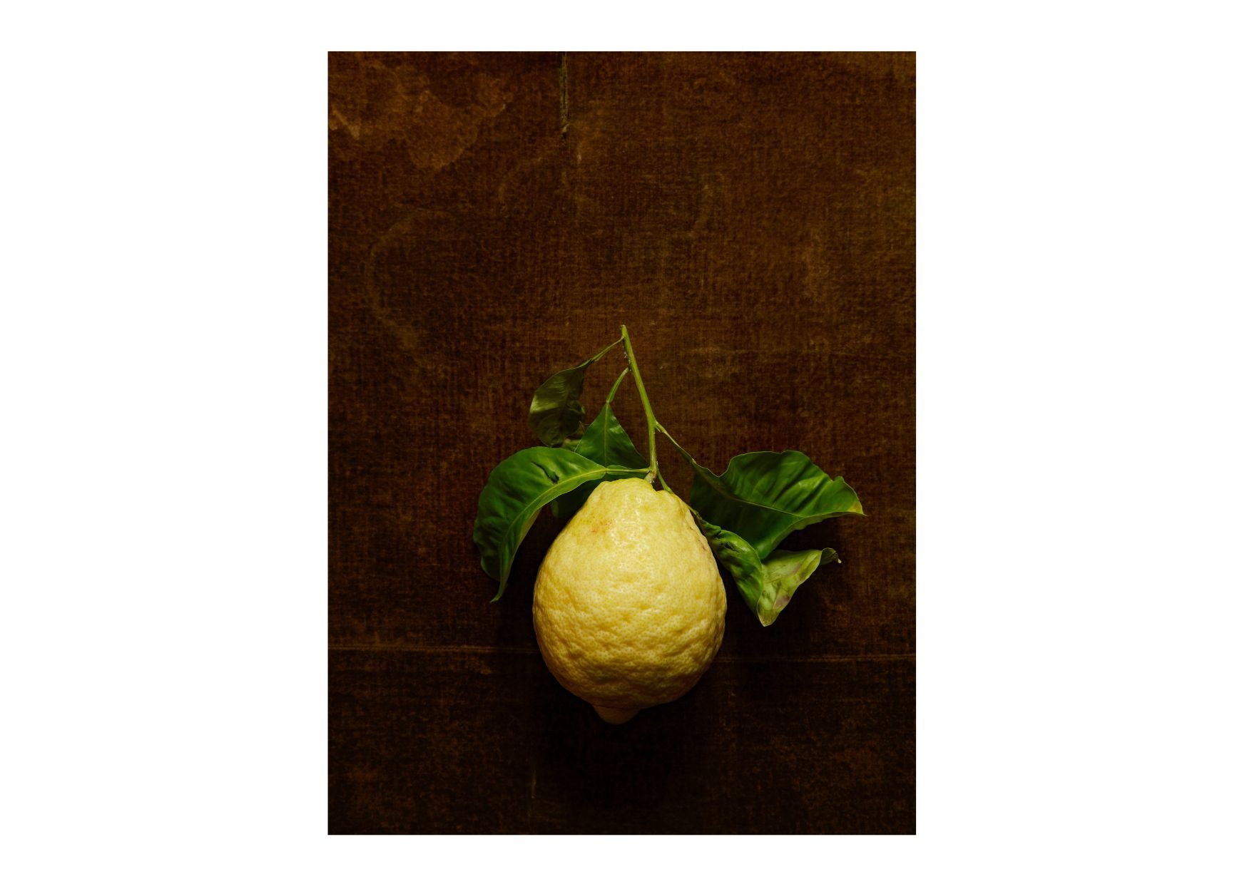 Untitled design-7.jpg