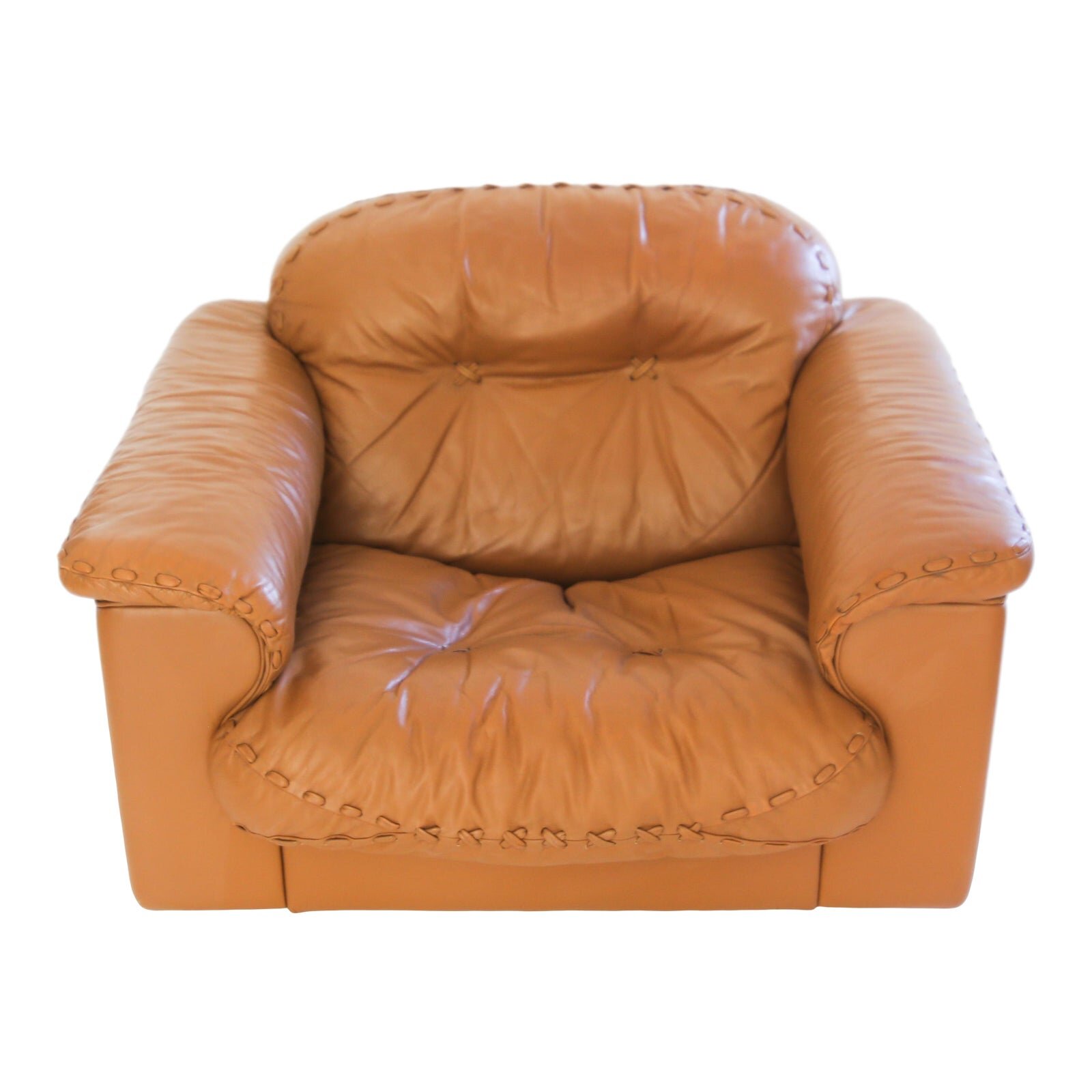 de-sede-ds-101-lounge-chair-4796.jpeg