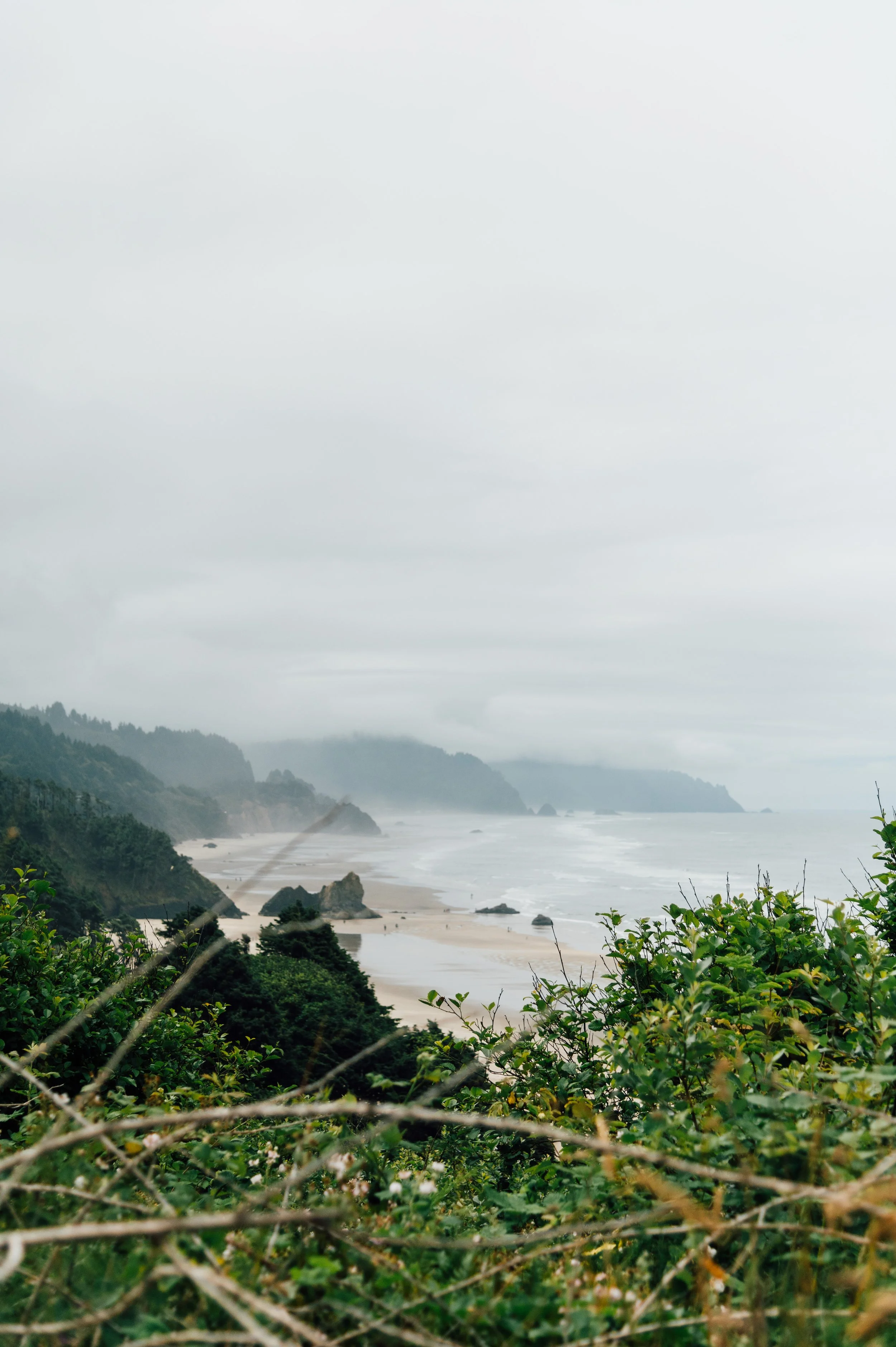 Oregon Coast
