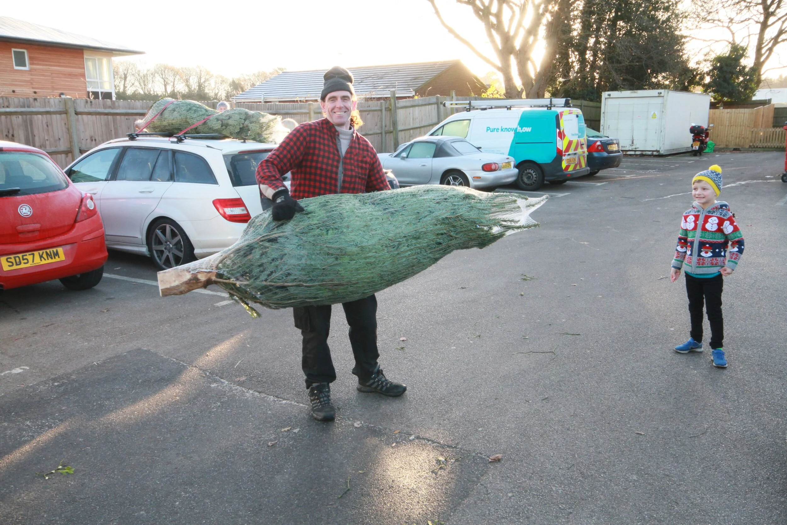 Carry Tree to Car.jpg