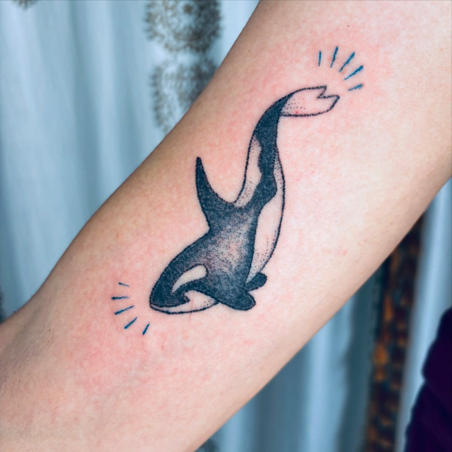 I sure had fun with this spunky orca. Filling in black by hand is always a thrill. Thanks as always for the trust Nicole! It was a pleasure! 💗🙏🫶

#handpoked #handpokedtattoo #stickandpoke #stickandpoketattoo #machinefree #machinefreetattoo #delica