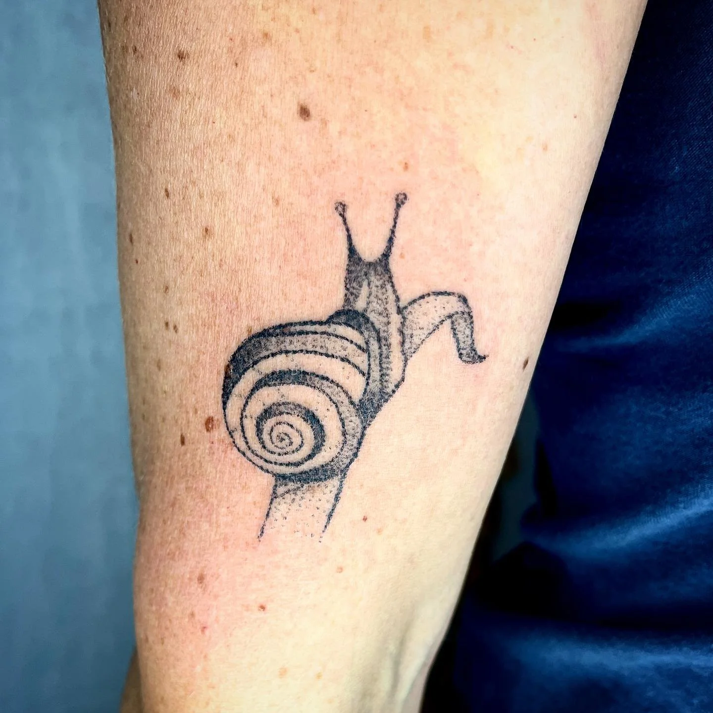 Lil snail fren for Mae💗☺️🐌✨

#stickandpoke #handpoke
