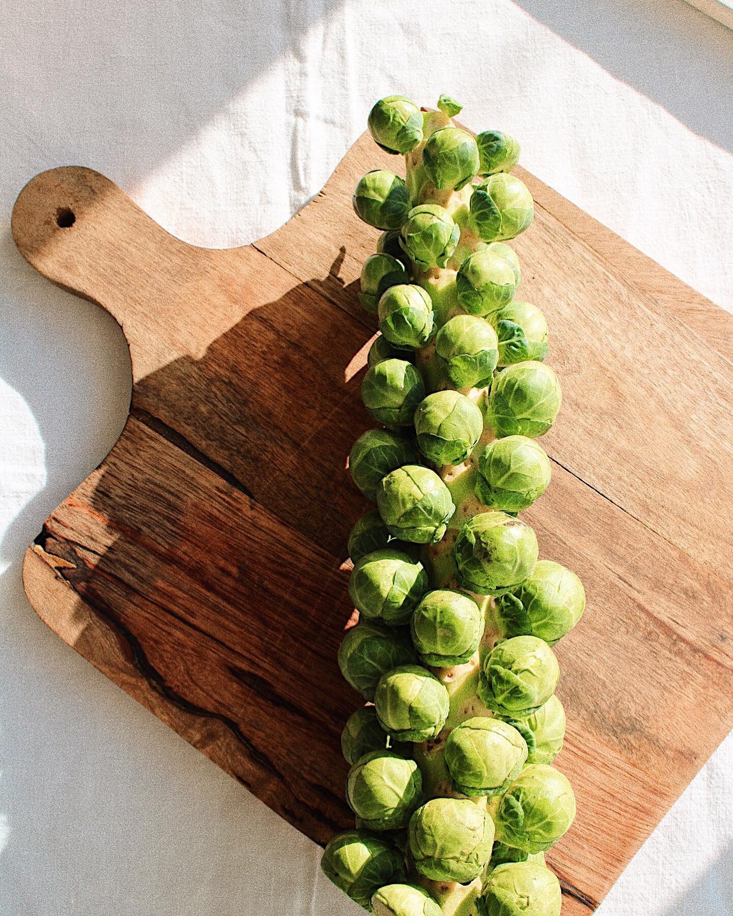 We couldn&rsquo;t help but notice that a lot of you were keen to get your hands on a pair of our lovely Brussels sprouts socks! 🧦

Well you&rsquo;re in luck - there&rsquo;s FIFTEEN more chances to win a pair coming your way! The first fifteen people