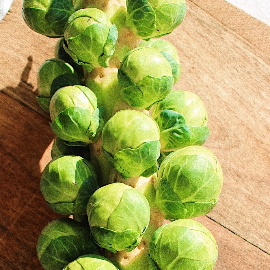 Did you know that a key health benefit of Brussels sprouts is that they have a high concentration of glucosinolates, which studies have associated with cancer prevention.

Make sure to pop some in your basket before the British season ends! 💚