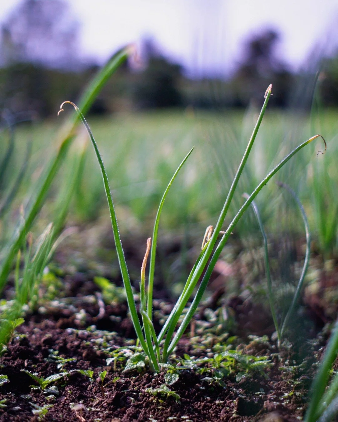 Next week is B Corp Week, a moment to celebrate businesses that believe profit and purpose should always share the same plate 🍽️

As part of Nice Group, we&rsquo;re proud to be a B Corp. For an agency like ours, that means championing brands that no