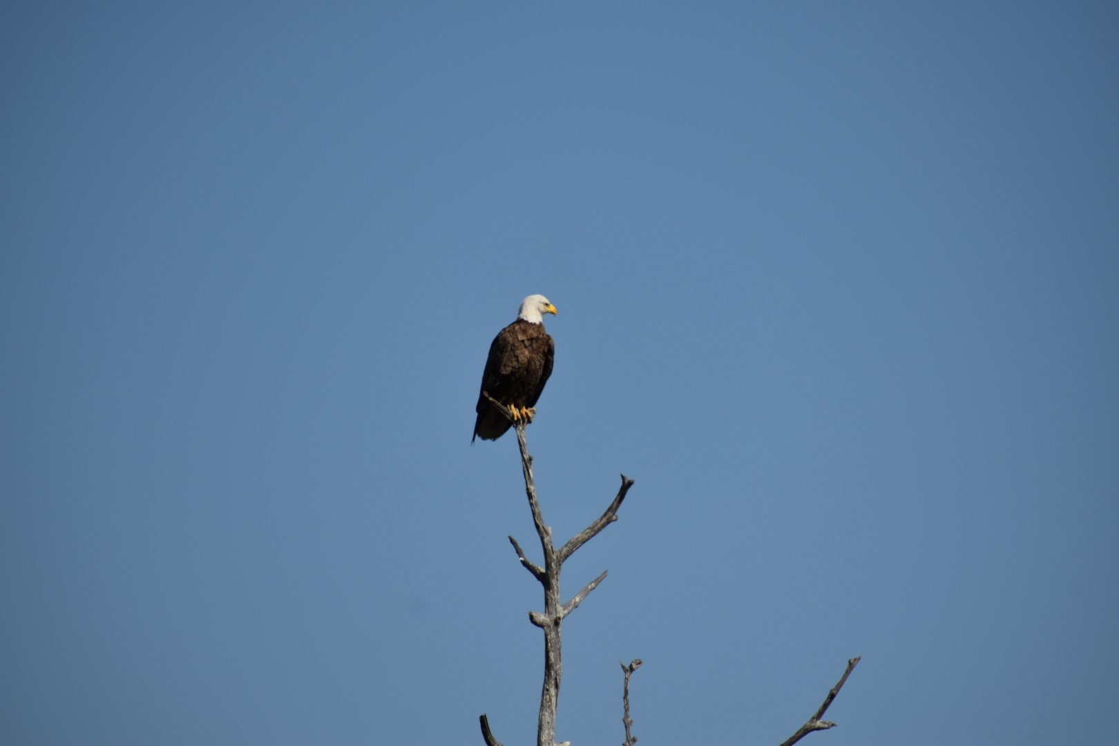 DSC_0173.JPG