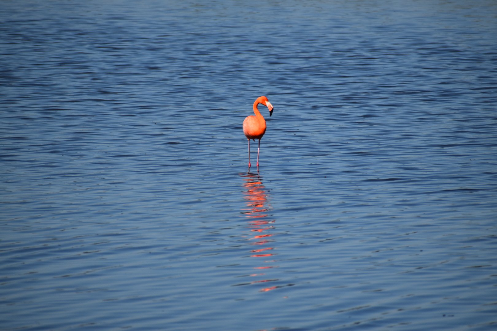 DSC_0120.JPG