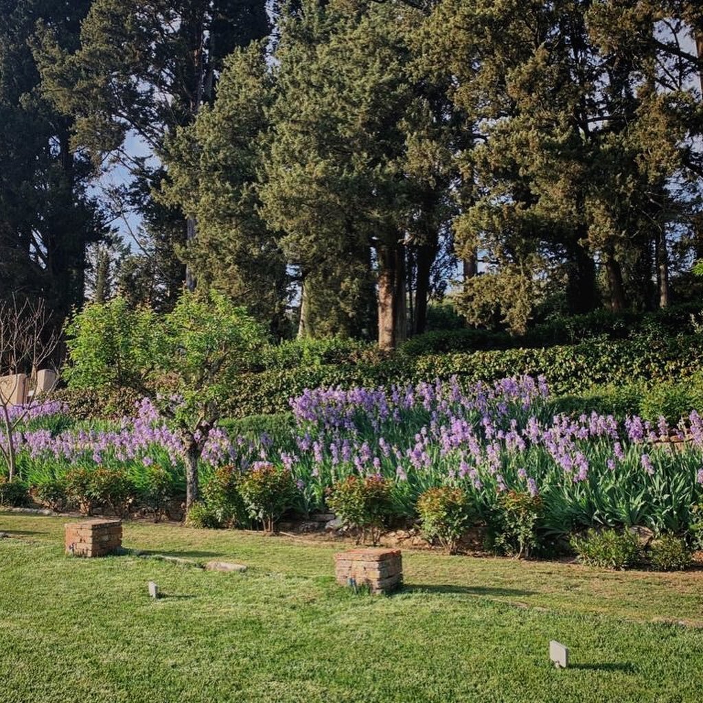 Our garden, in all its splendeur. 

#tuscangarden #howtuscanyfeels #spring