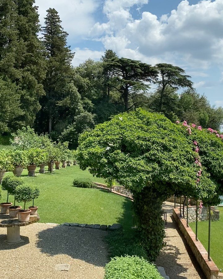 Nature plays in our garden on a bright summer afternoon..