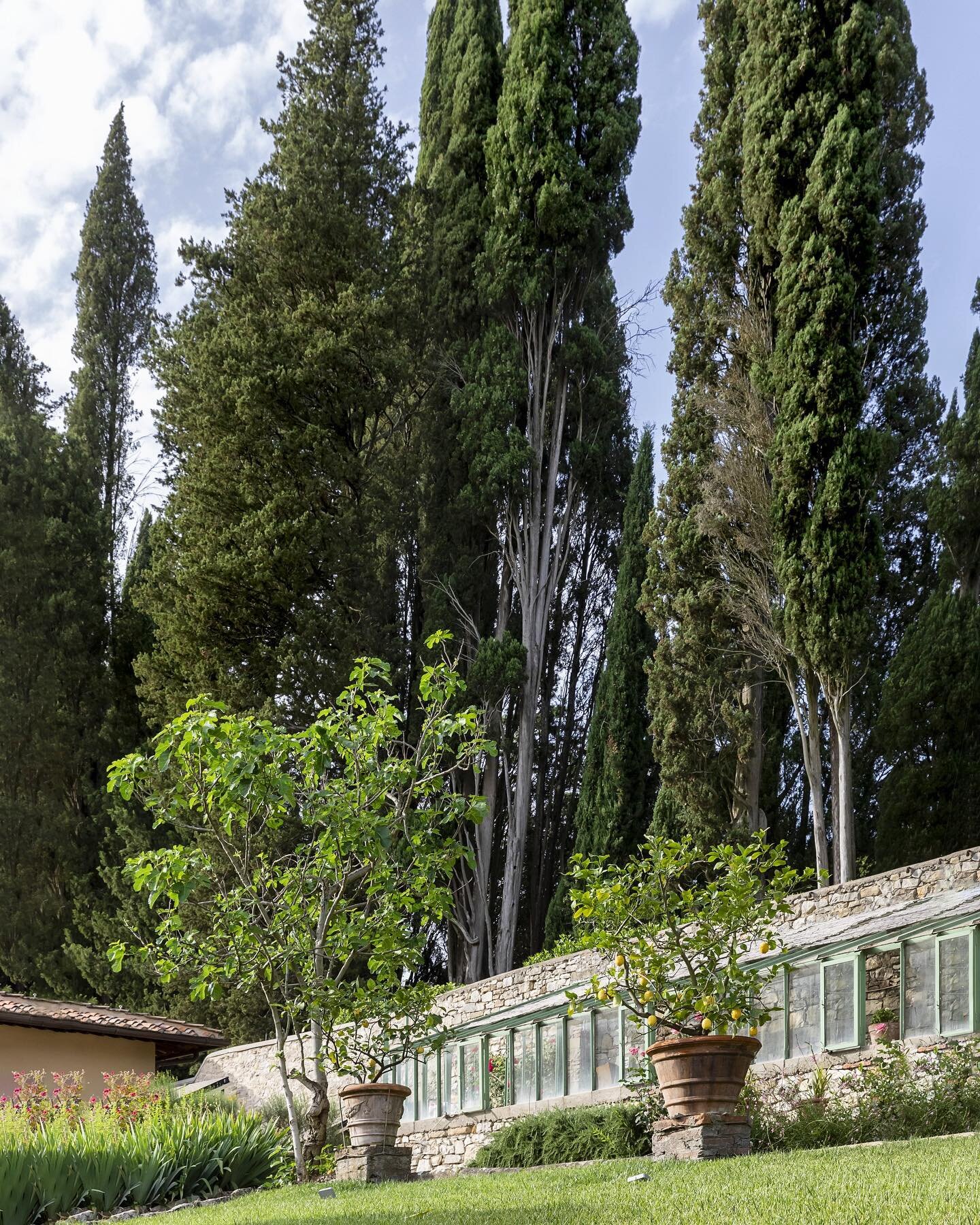 Breathtaking dimensions envelope our garden creating an ideal venue for your celebrations! 

For inquiries, email us at villalachiocciola@gmail.com.

#estateitaliana #howtuscanyfeels #luxuryrentals