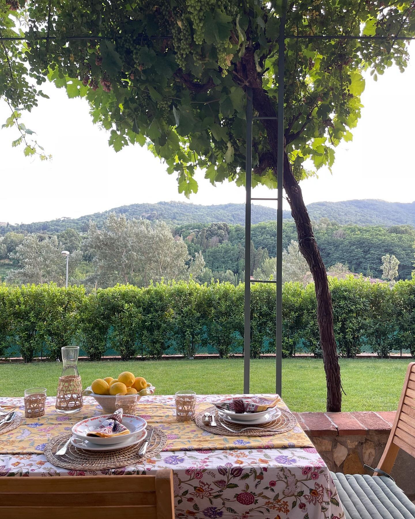 Under the grapevines

#estateitaliana #slowstays #luxuryrentals