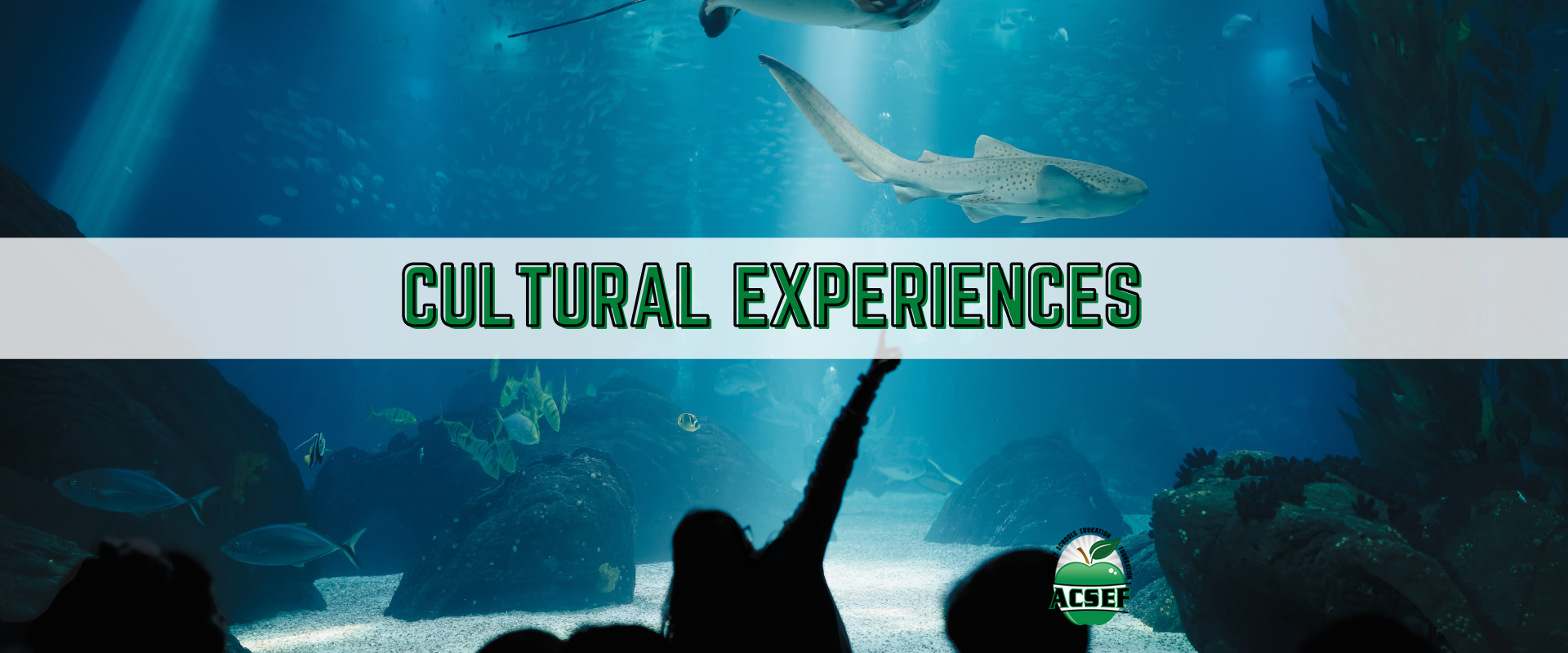 Copy of ACSEF - SOCIAL POST-4.png