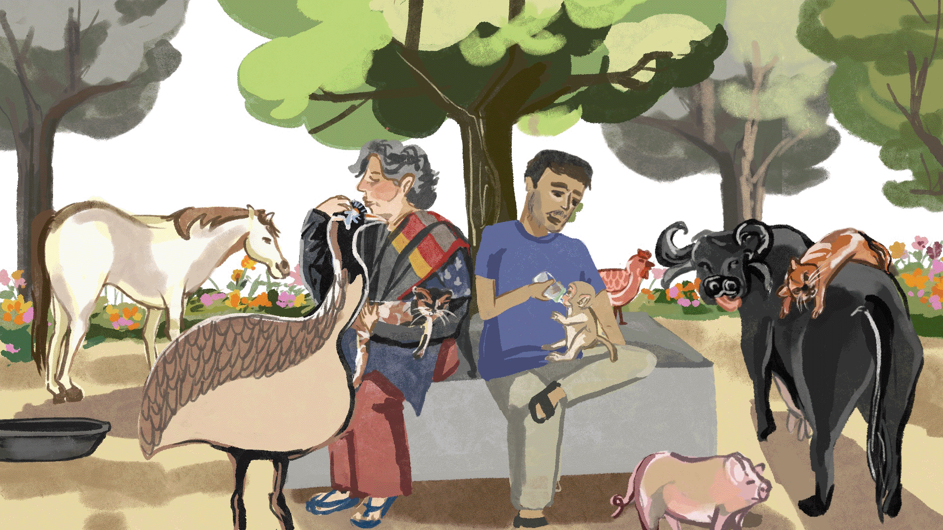 Animals' People — Compassion Contagion Animals' People — Compassion Contagion