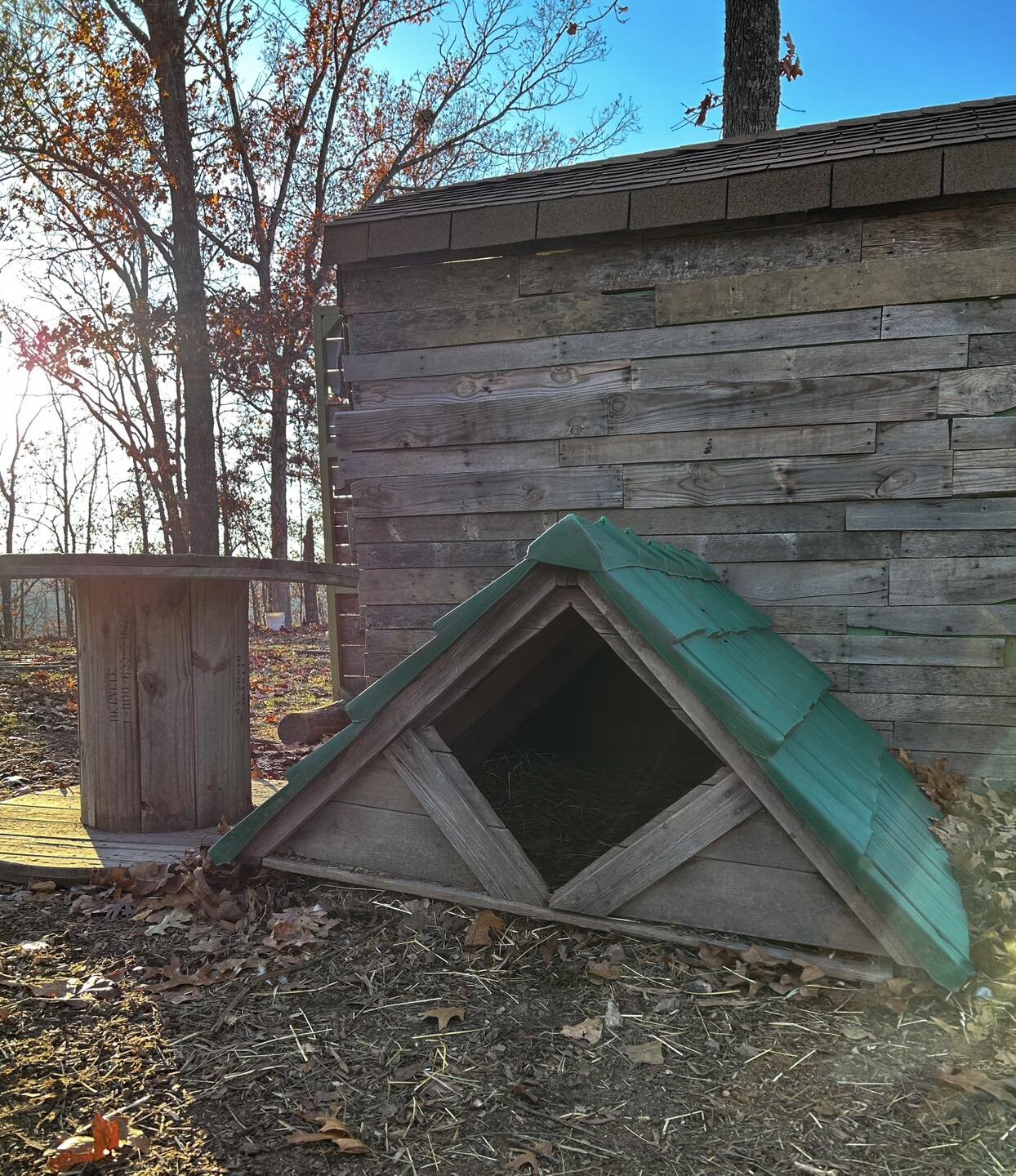 I love love love being about to re-purpose something into some thing else! These two goat shelters came from a termite weakened playhouse that saw many fun hours of play at my in-laws house. They may not be shiny and perfectly shabby chic for the gra
