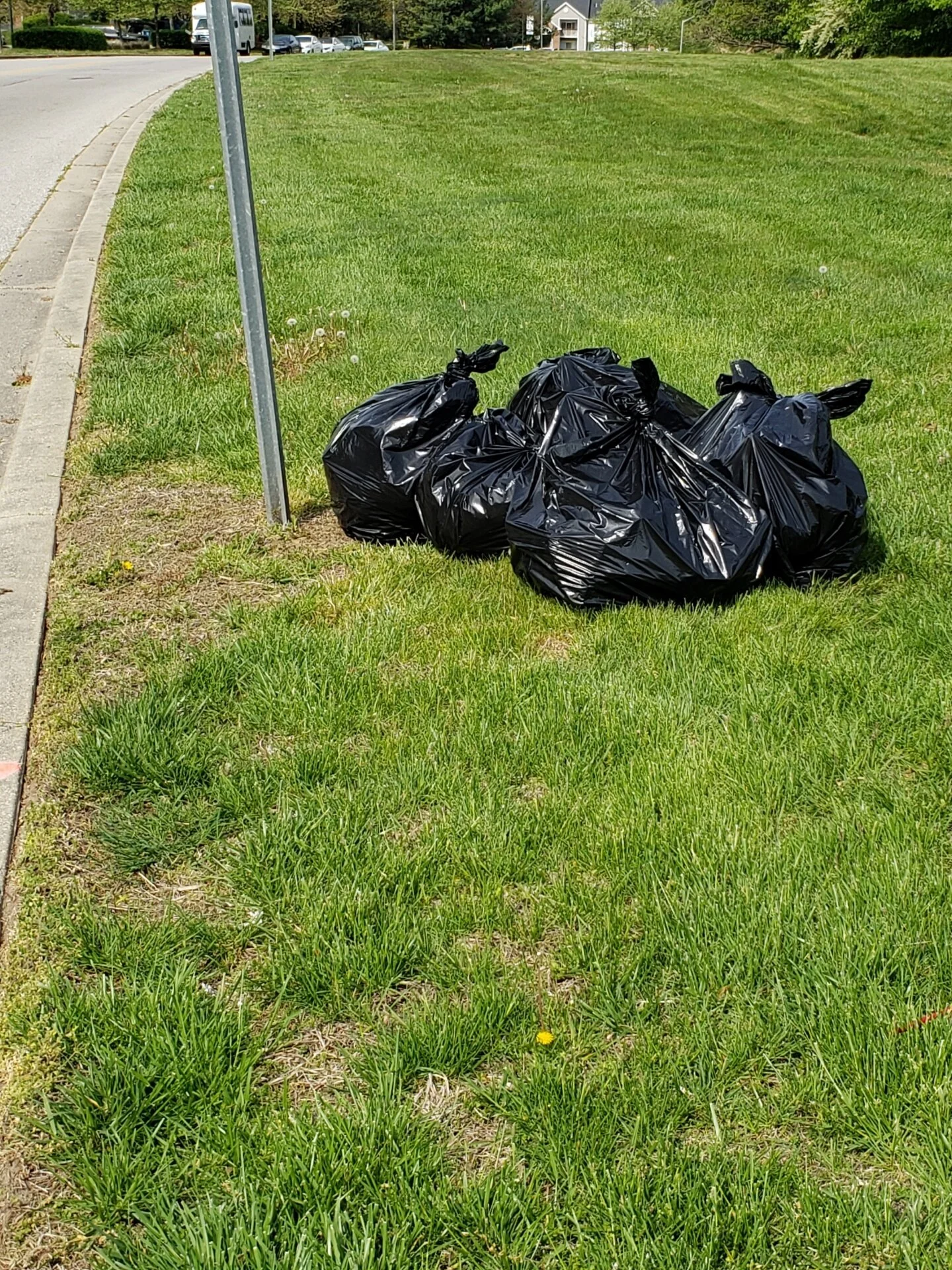 Spruce Up Marlton April (5).jpeg