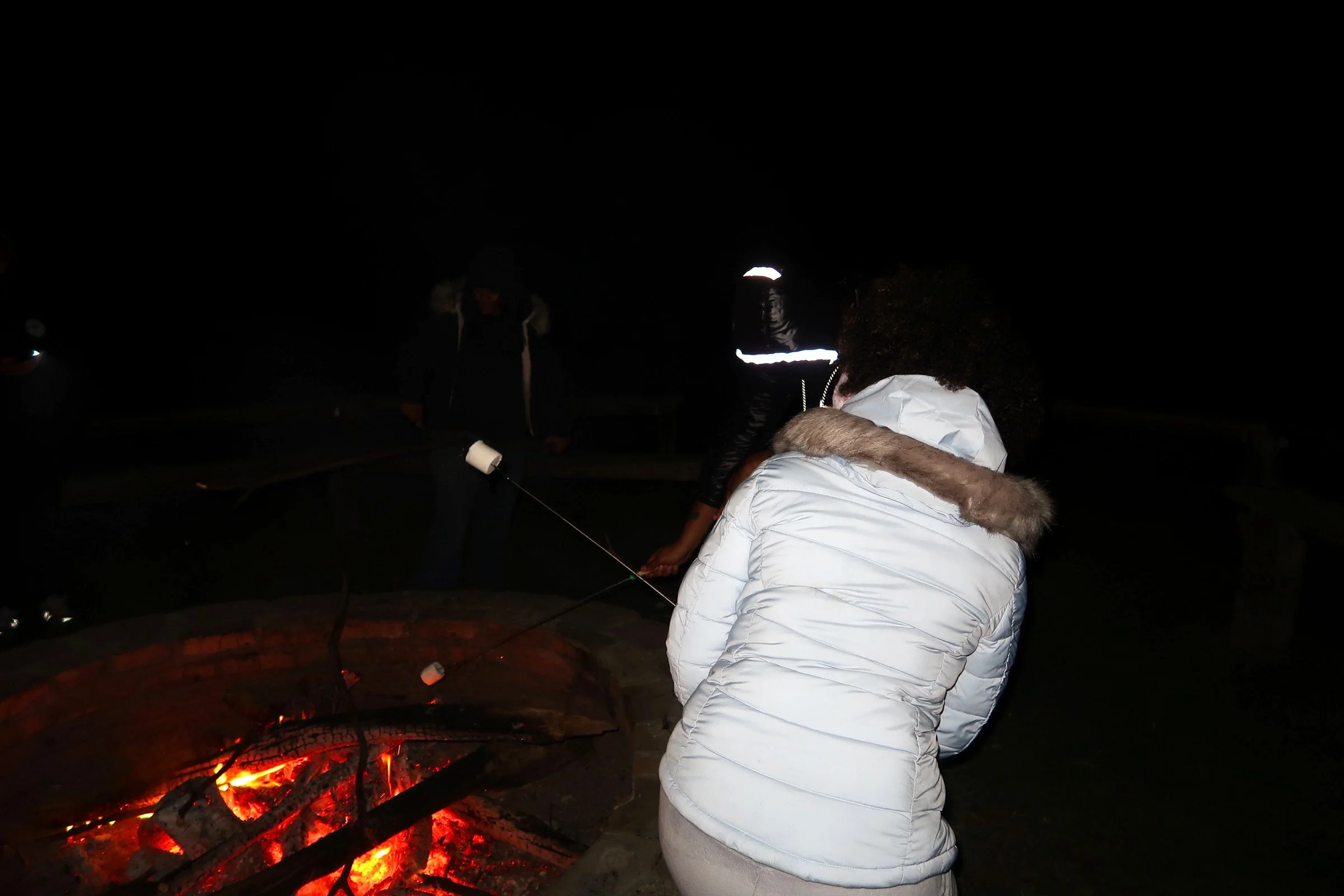 LAYC Conservation Corps Fall Retreat 2024: Empowering Youth Through ...