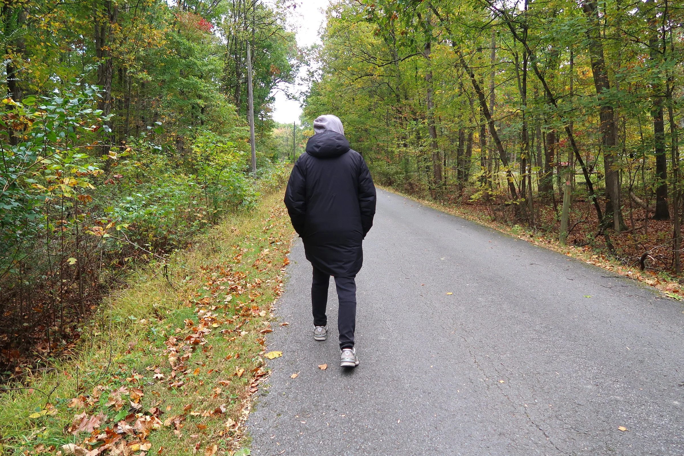 LAYC Conservation Corps Fall Retreat 2024: Empowering Youth Through ...