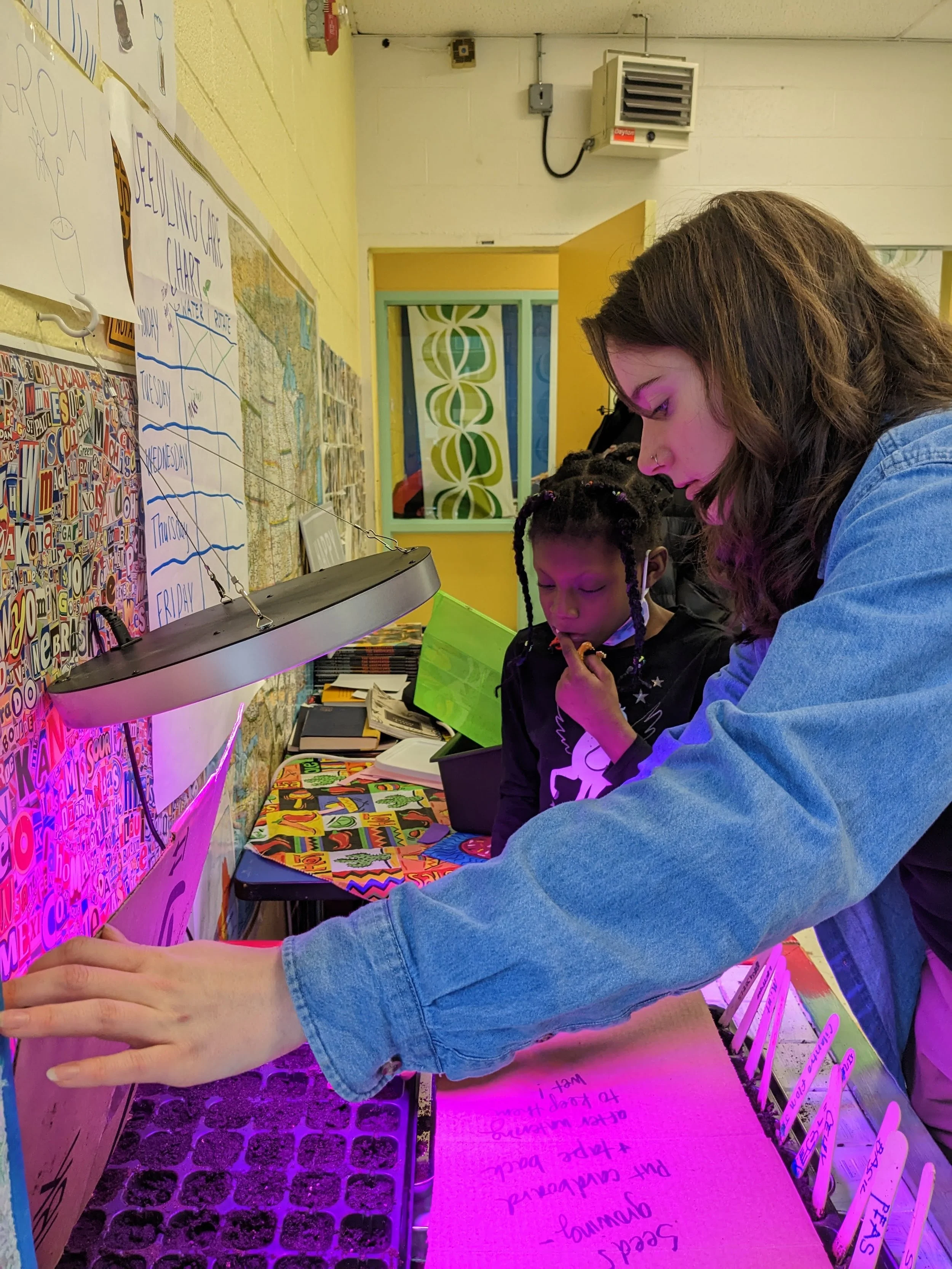 Layc Building Spring Has Sprung with LAYC’s Food & Nutrition Program — Latin American ...