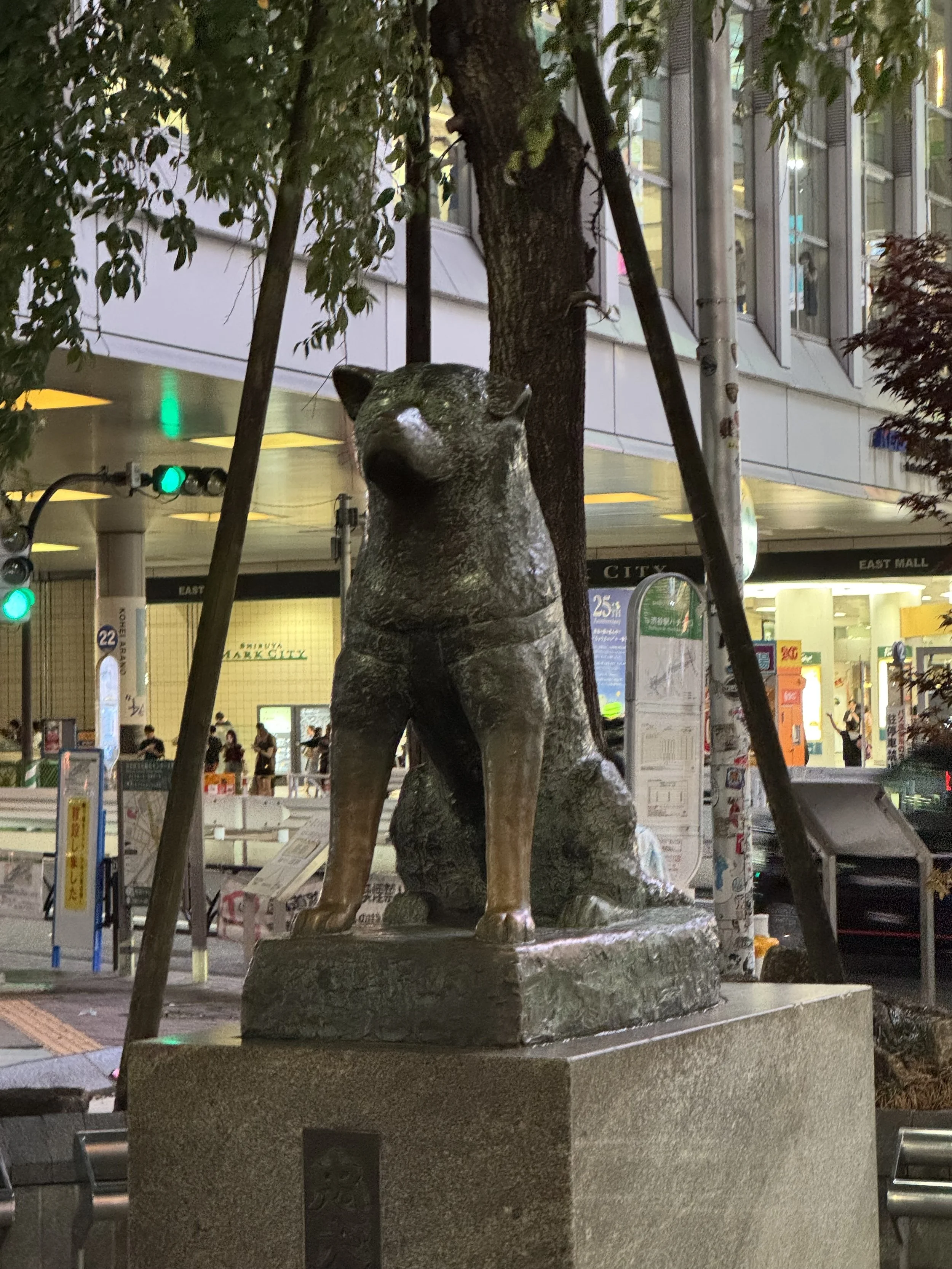 IMG_3223.jpeg