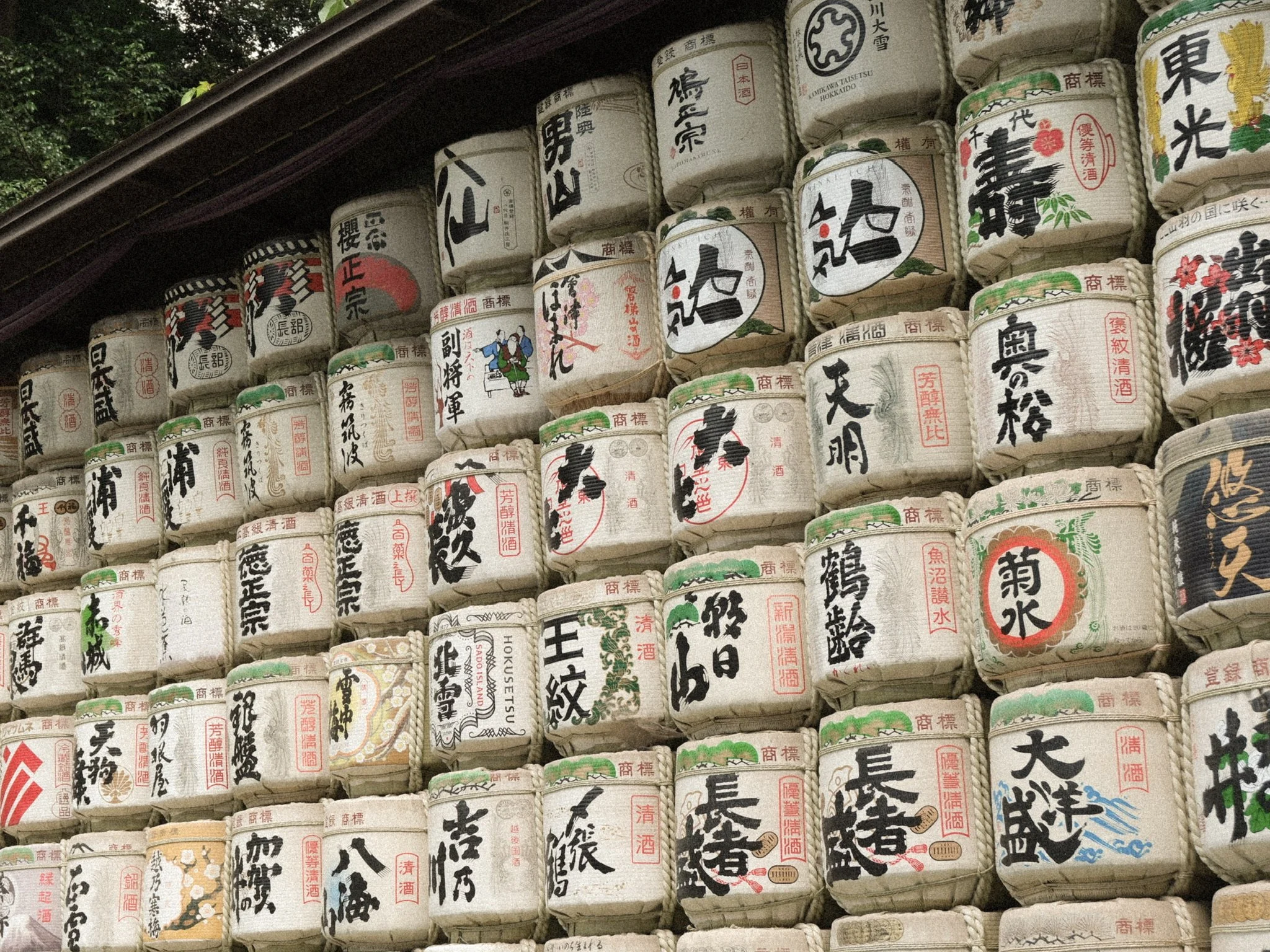 Tokyo Streets: Shibuya