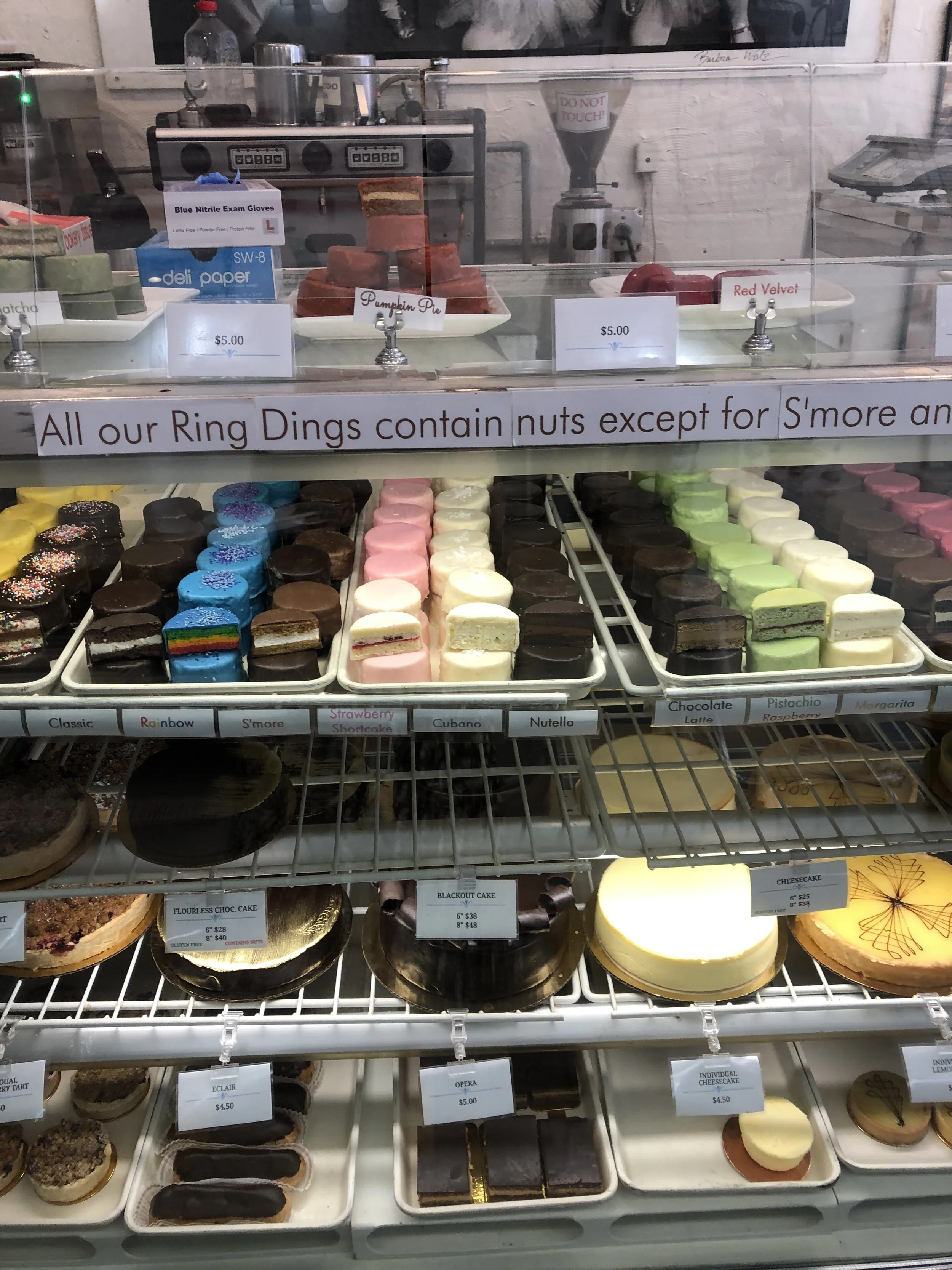 IMG_2087.jpeg