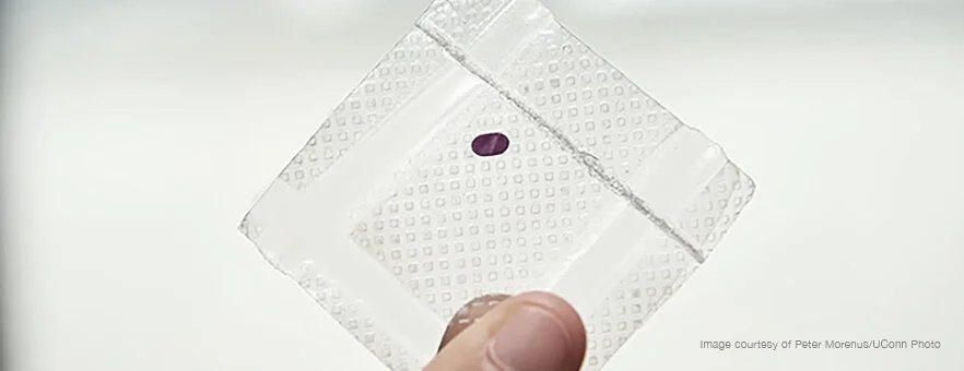 Image courtesy of Peter Morenus/UConn Photo