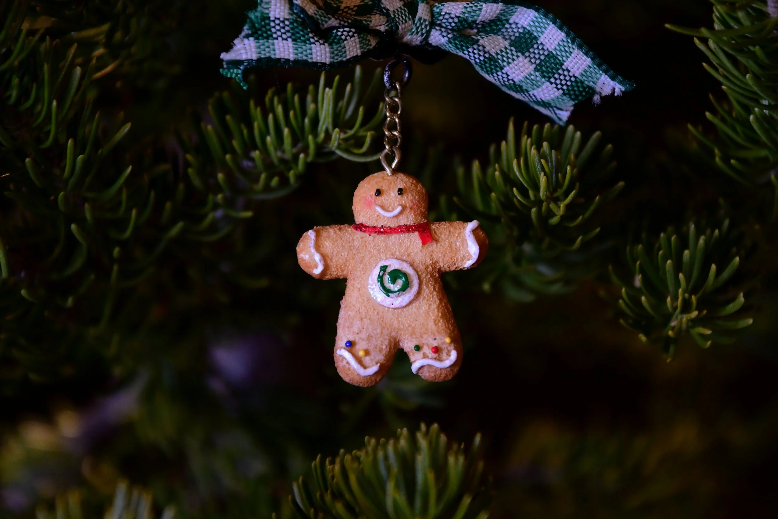 Managing OCD and Health Anxiety During the Holiday Season