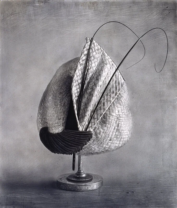 VENUS FLY   Graphite on paper | 32"x 30", 1997