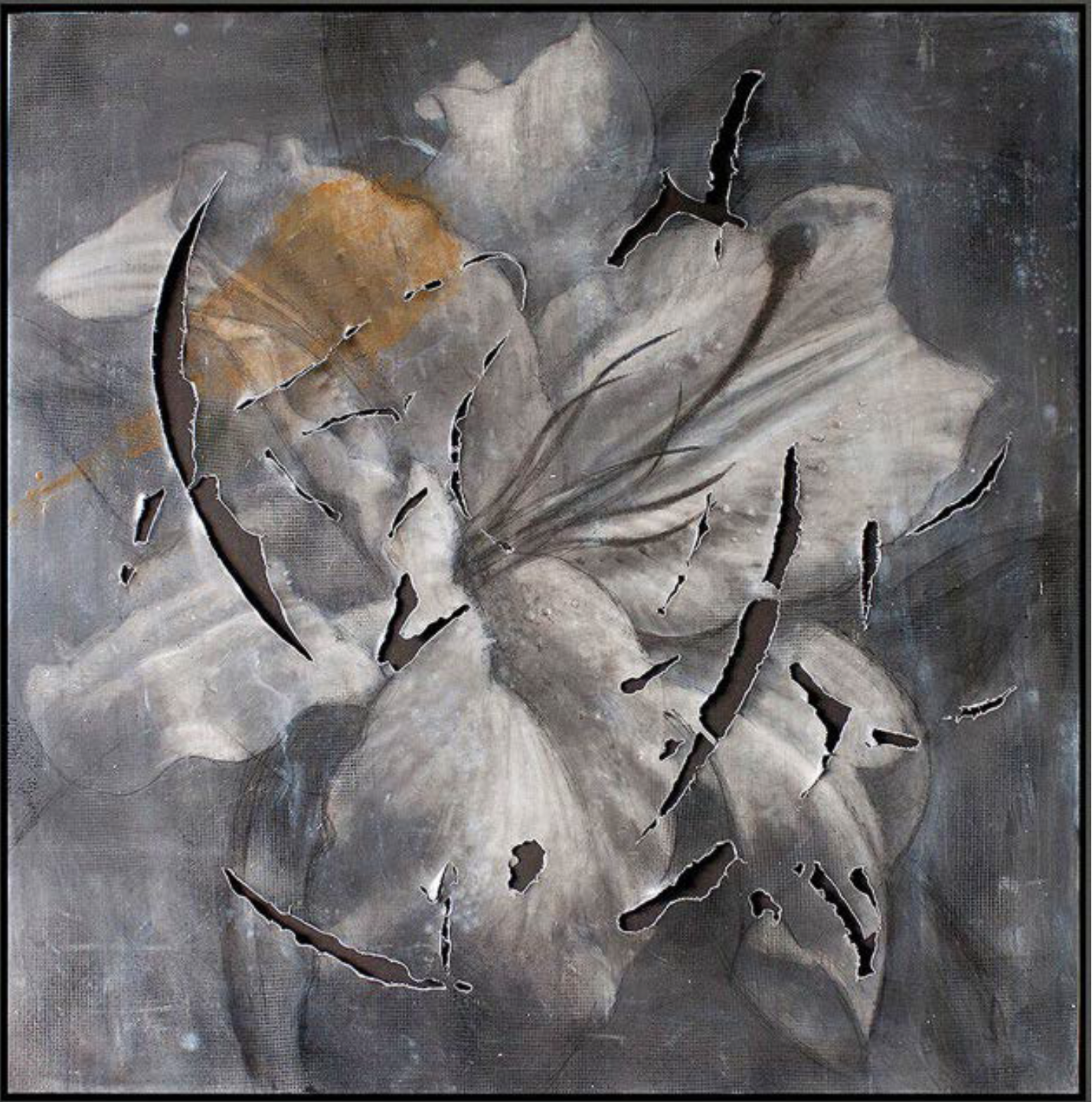 LILY SLASHEDS, 2003 
Oil on canvas, 59”x 59”