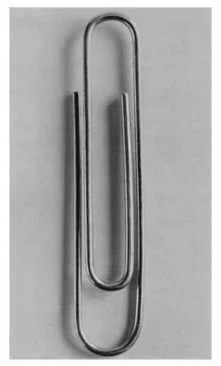 Paper Clip Inkjet on paper 16 x 12 in. (40.6 x 30.5 cm), Edition: 25