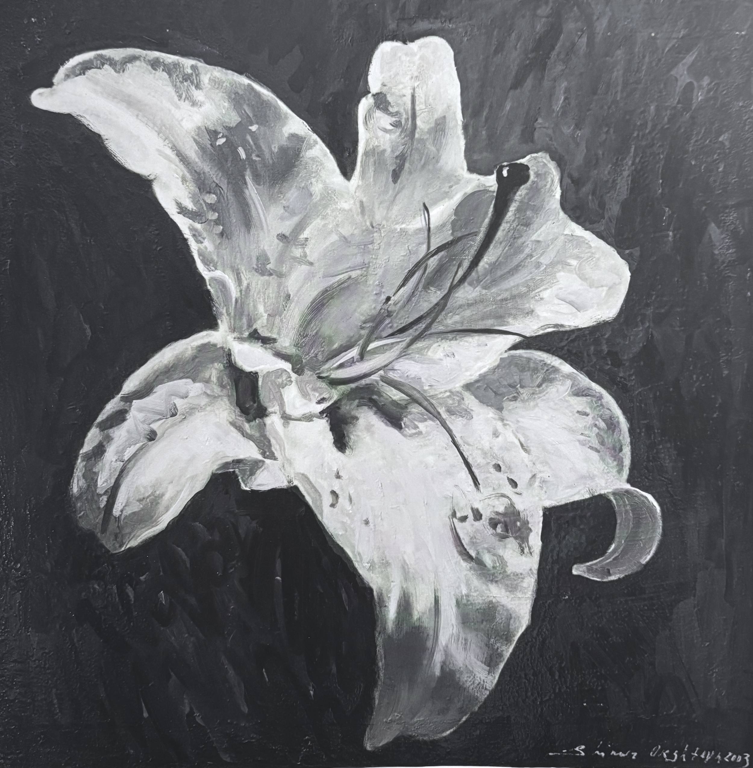 Lily Inkjet on paper 26 x 26 in. (66 x 66 cm), Edition: 10
