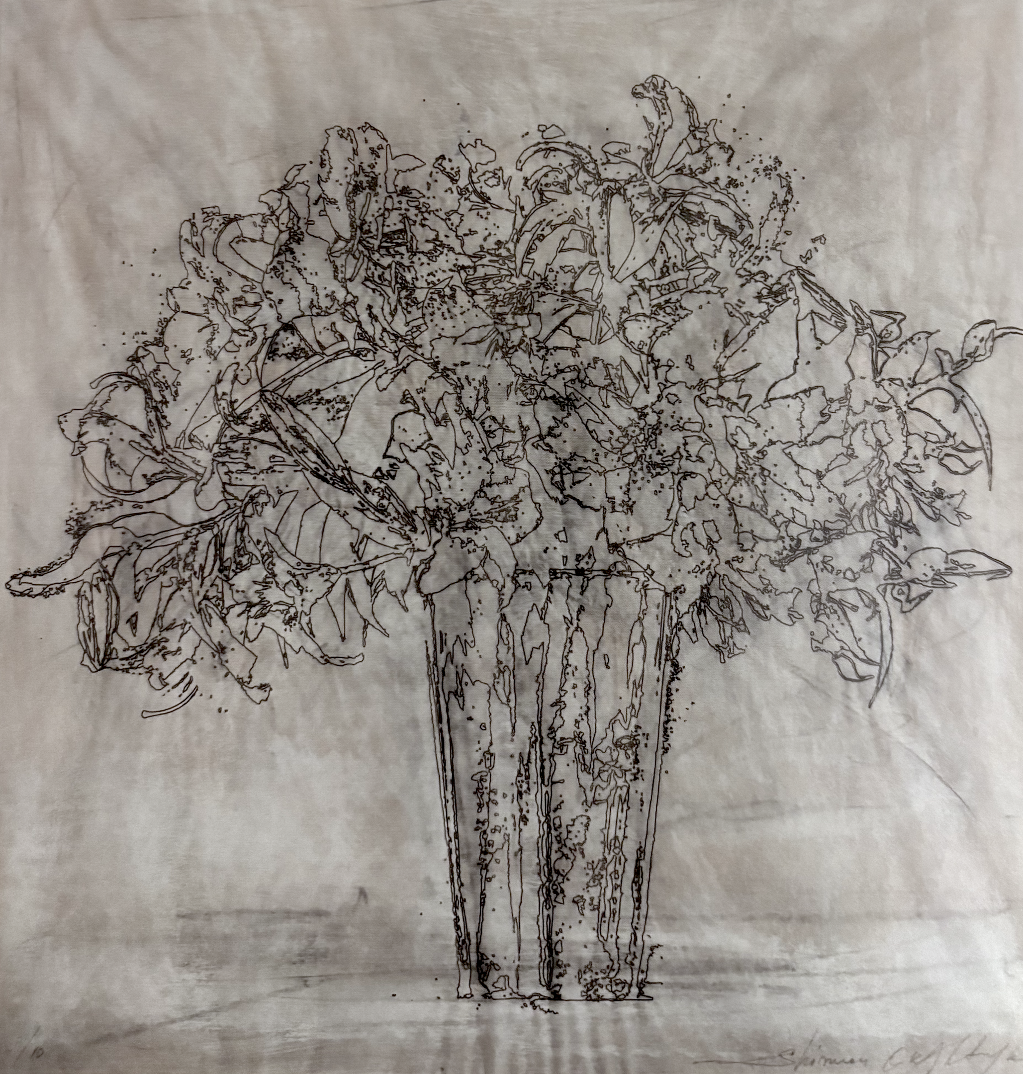 Lilies Inkjet on glassine 26 x 26 in. (66 x 66 cm), Unique