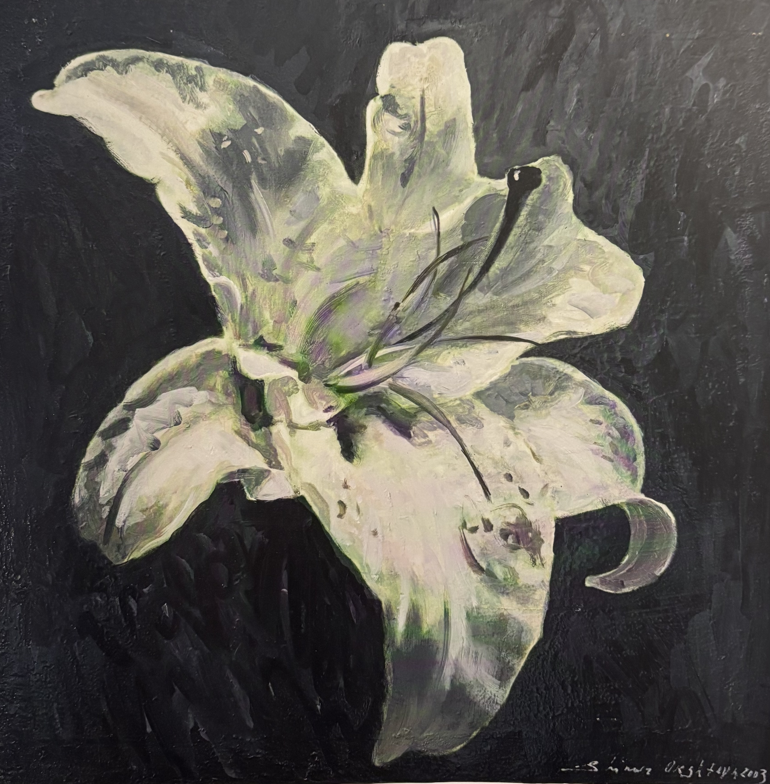 LILY, 2003 Oil on canvas  26 x 26 in. (66 x 66 cm)