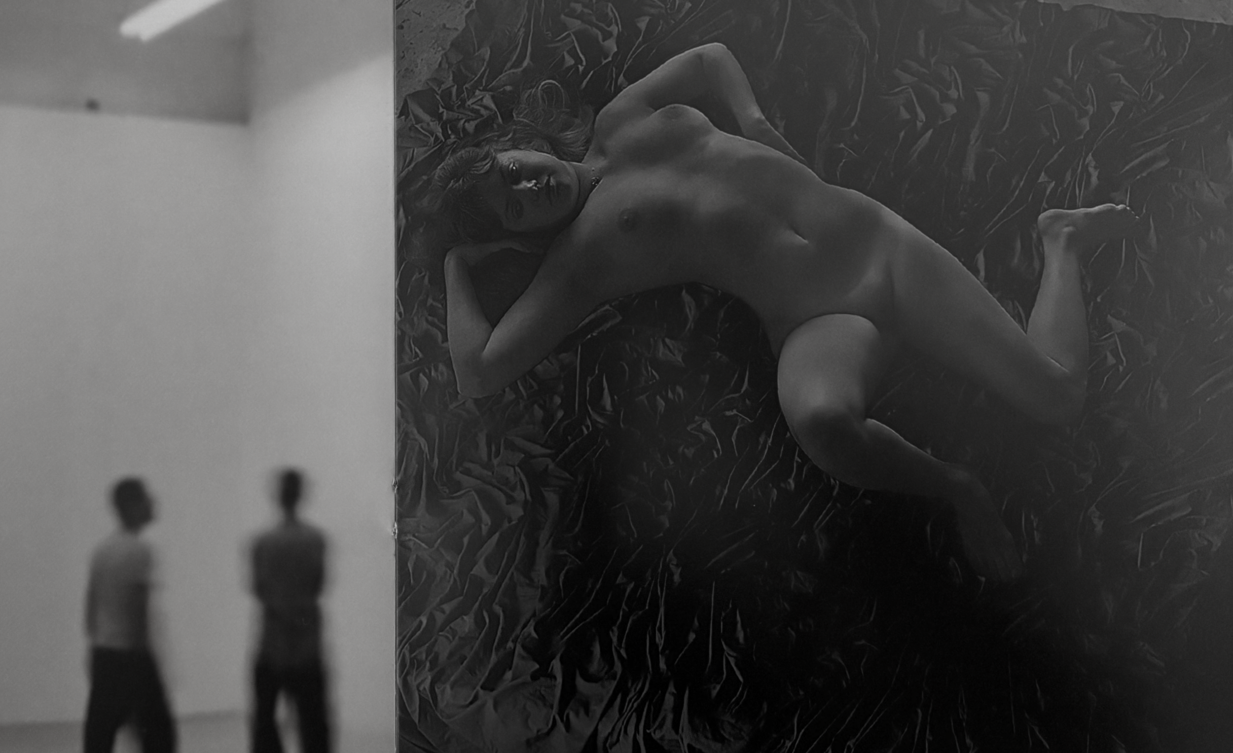  NOTHING STIRRED WITHIN THEIR DEPTH, 2012 
Graphite, charcoal and digital print on canvas, mirror, 111″x 175"  Provenance: 
Stux Gallery, New York, 2013 
