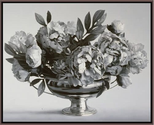PEONIES, 2009 Graphite, digital print on canvas 52 x 40 in. (132.1 x 101.6 cm)