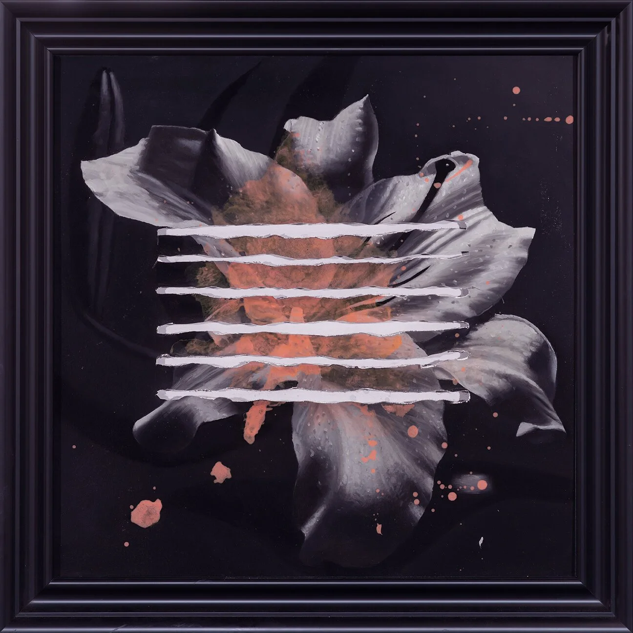 LILY | Pink, 2018 
Oil on canvas, 36”x 36” 